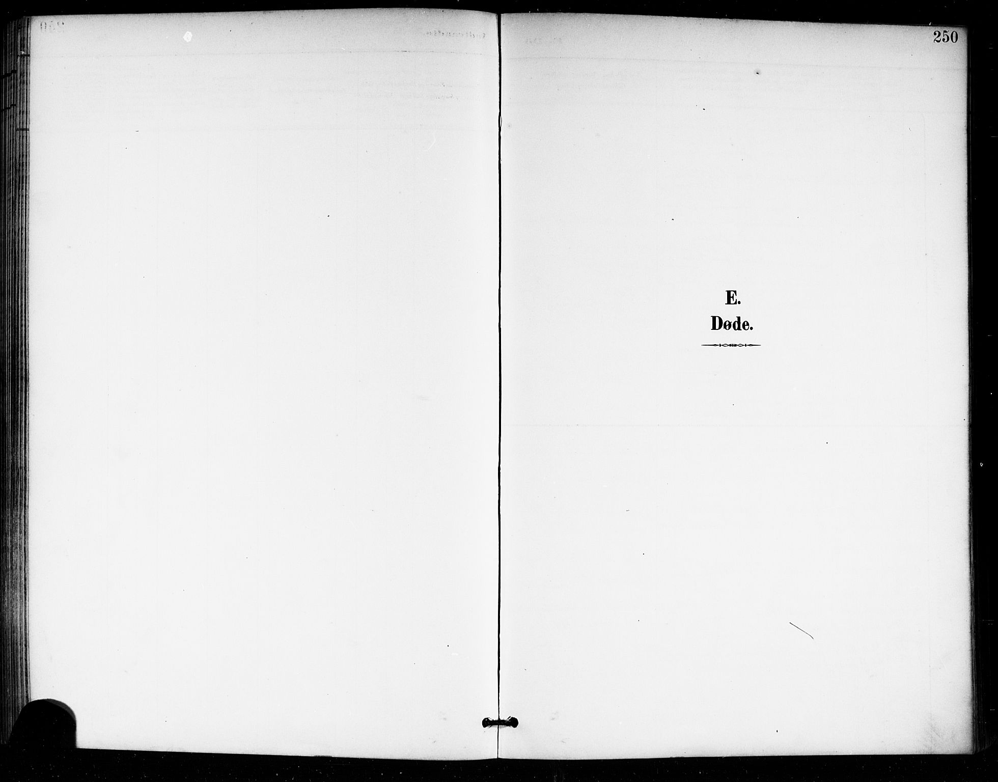 Tjølling kirkebøker, SAKO/A-60/G/Ga/L0002: Klokkerbok nr. 2, 1895-1918, s. 250