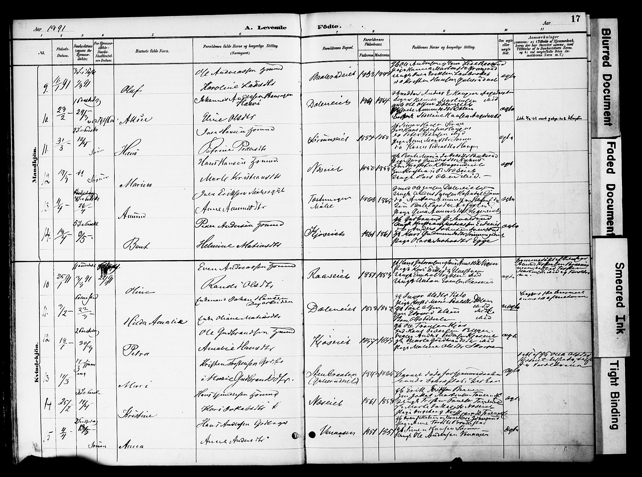 Gran prestekontor, AV/SAH-PREST-112/H/Ha/Haa/L0020: Ministerialbok nr. 20, 1889-1899, s. 17