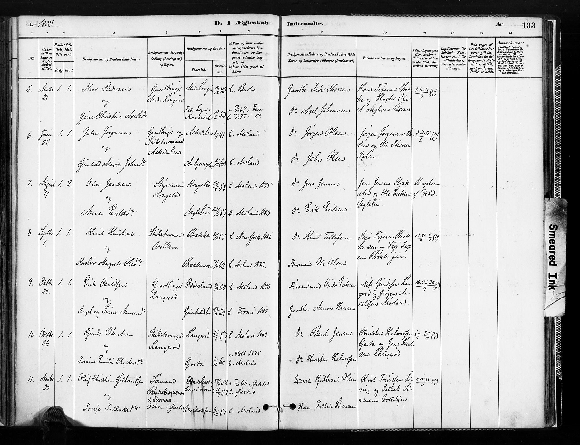 Austre Moland sokneprestkontor, AV/SAK-1111-0001/F/Fa/Faa/L0010: Ministerialbok nr. A 10, 1880-1904, s. 133
