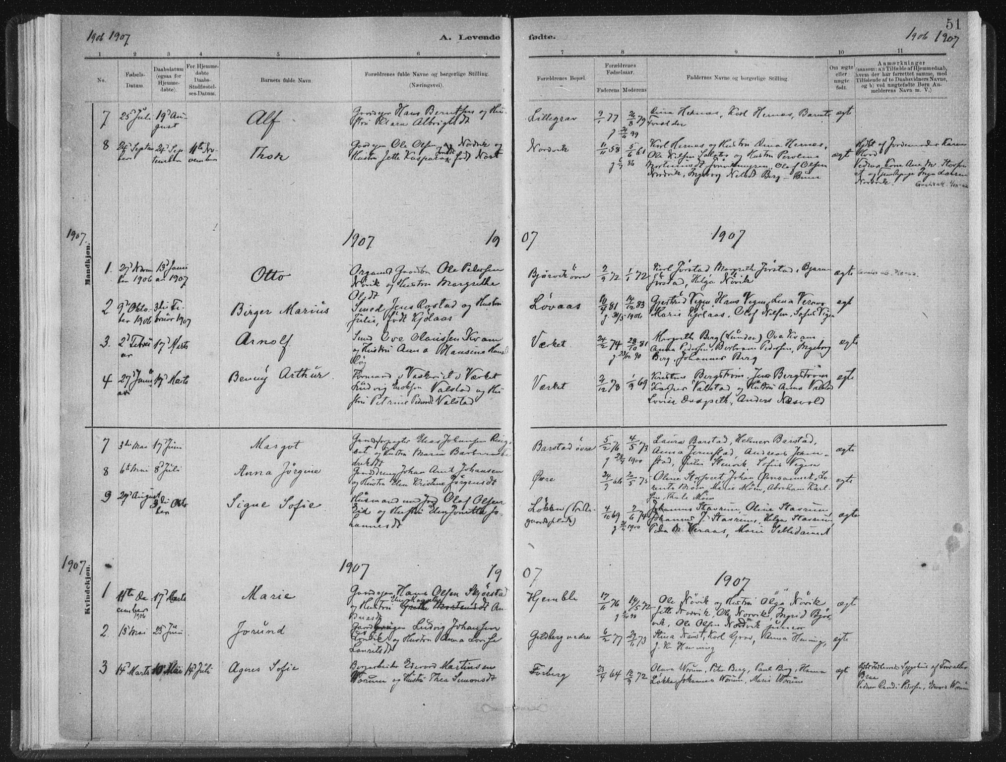 Ministerialprotokoller, klokkerbøker og fødselsregistre - Nord-Trøndelag, AV/SAT-A-1458/722/L0220: Ministerialbok nr. 722A07, 1881-1908, s. 51