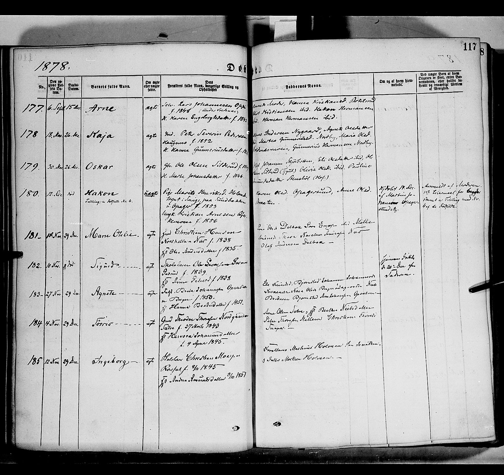 Grue prestekontor, AV/SAH-PREST-036/H/Ha/Haa/L0011: Ministerialbok nr. 11, 1873-1880, s. 117