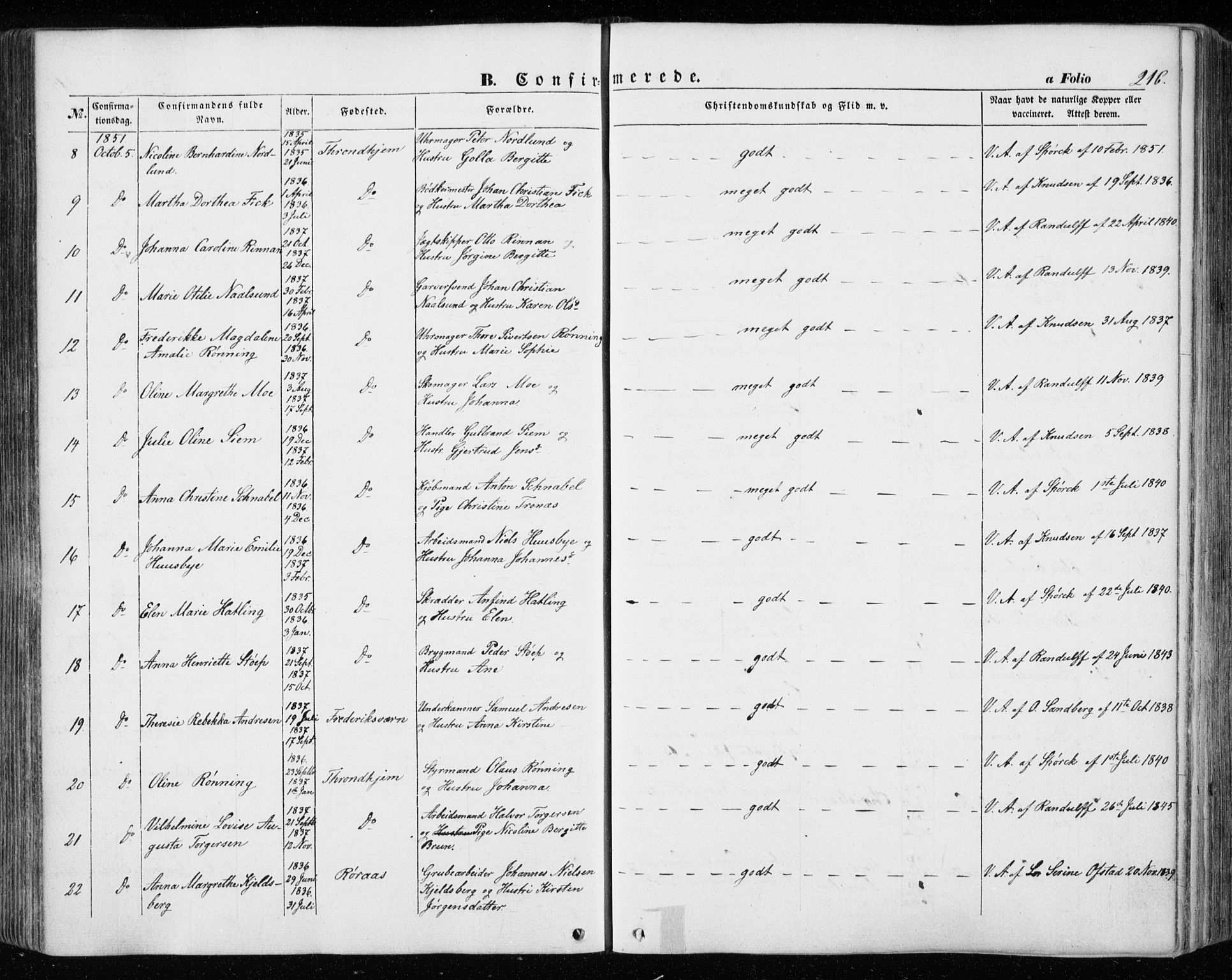 Ministerialprotokoller, klokkerbøker og fødselsregistre - Sør-Trøndelag, SAT/A-1456/601/L0051: Ministerialbok nr. 601A19, 1848-1857, s. 216