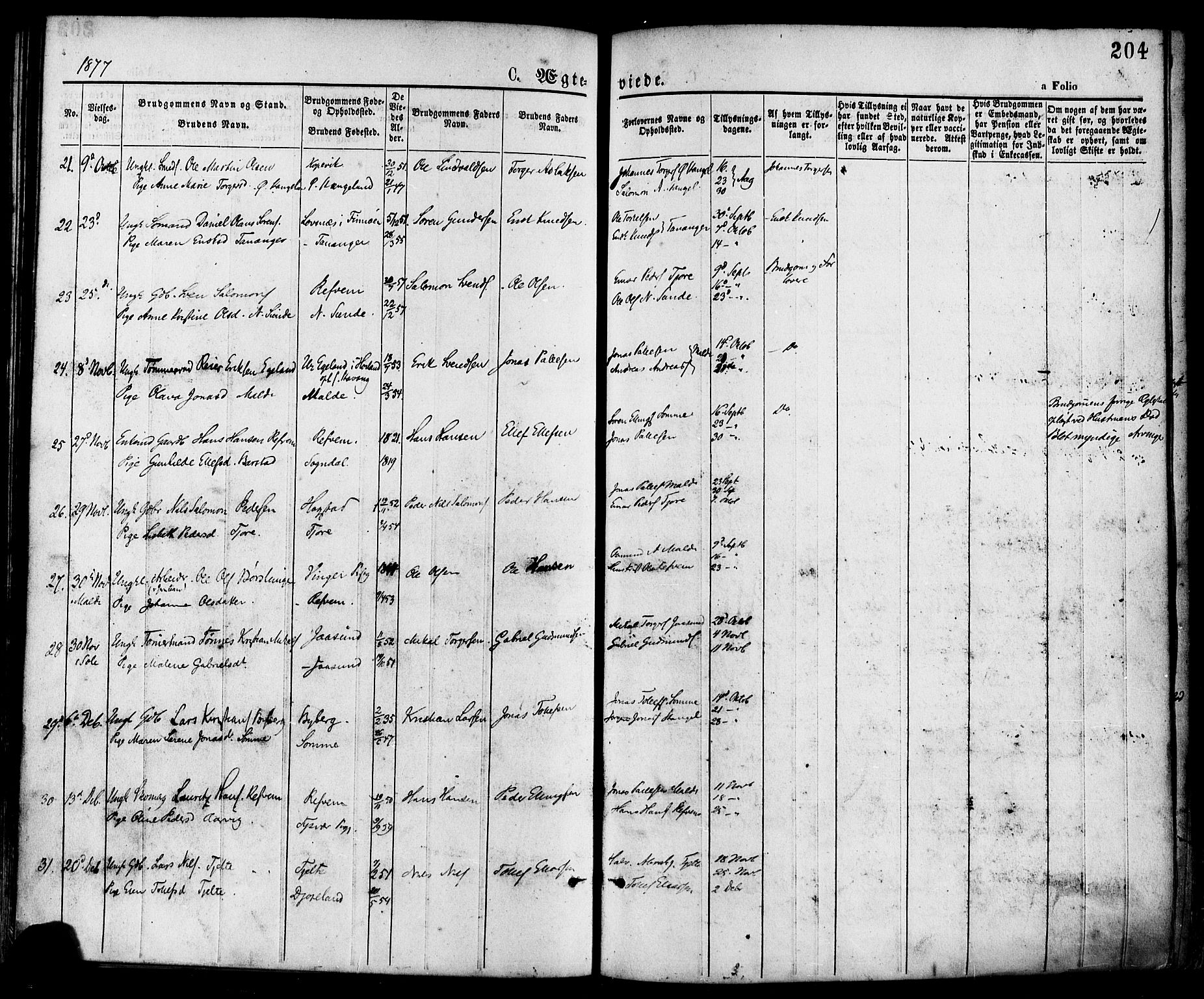 Håland sokneprestkontor, AV/SAST-A-101802/001/30BA/L0009: Ministerialbok nr. A 8, 1871-1882, s. 204