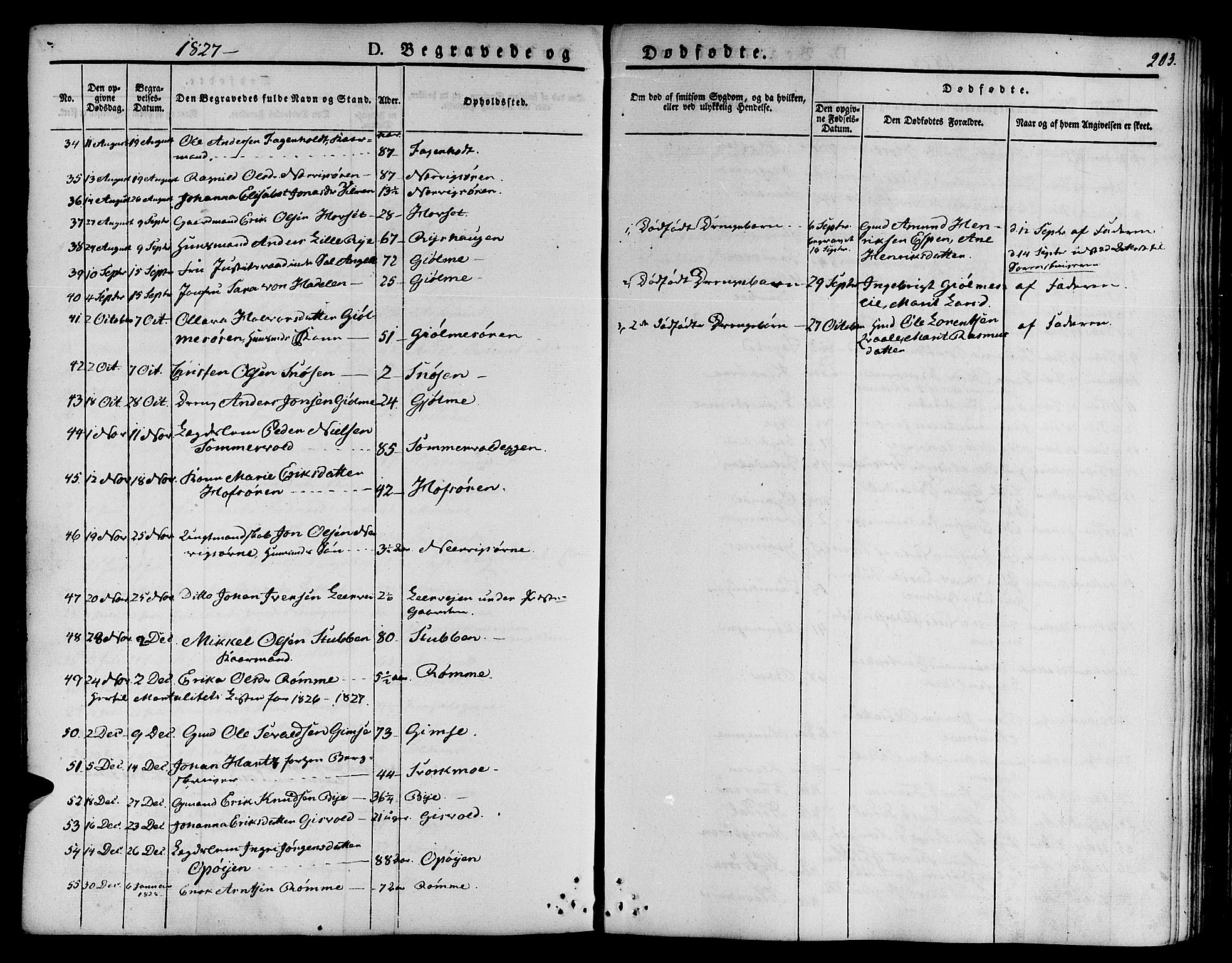 Ministerialprotokoller, klokkerbøker og fødselsregistre - Sør-Trøndelag, SAT/A-1456/668/L0804: Ministerialbok nr. 668A04, 1826-1839, s. 203