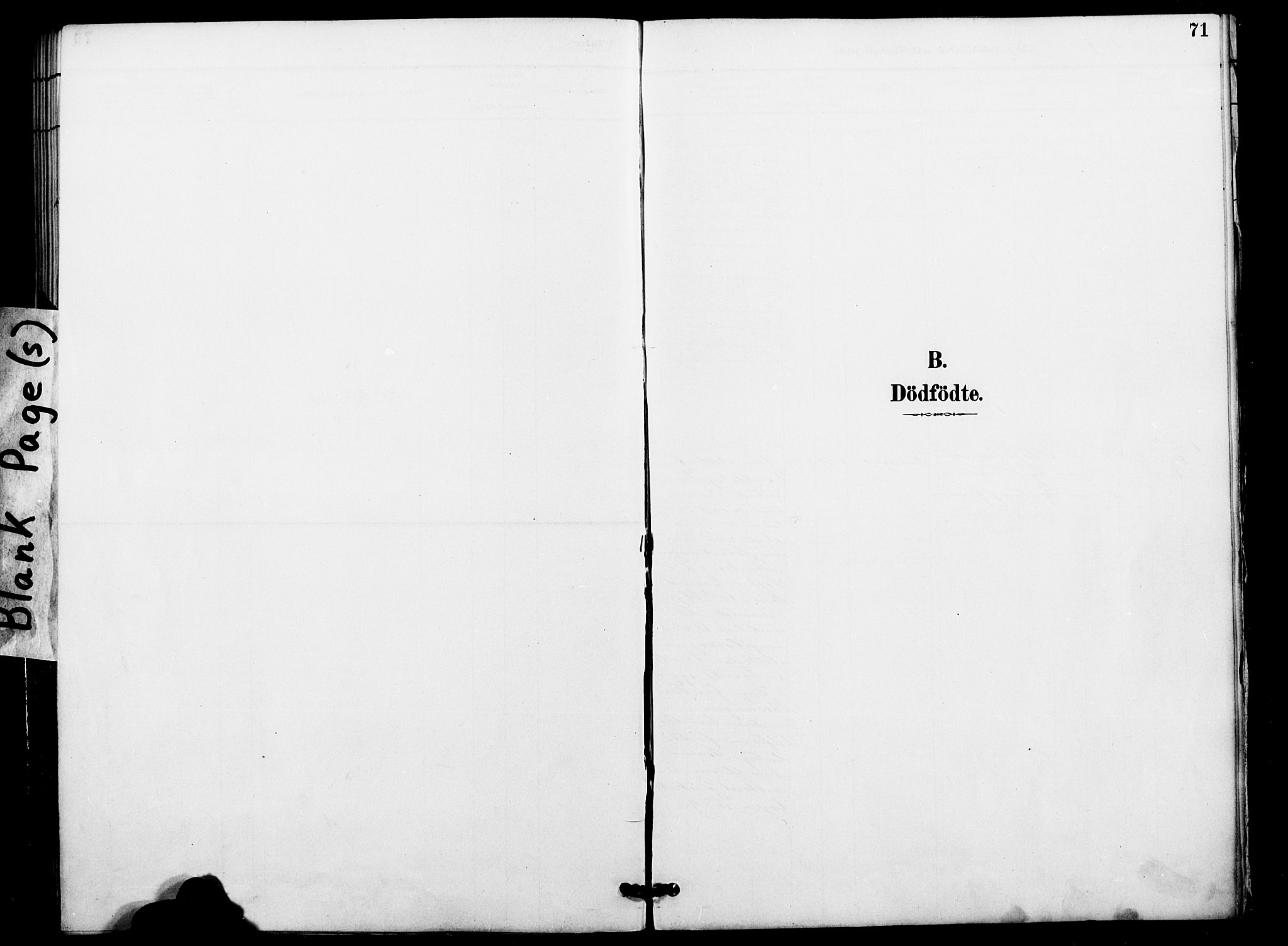 Vardø sokneprestkontor, AV/SATØ-S-1332/H/Ha/L0009kirke: Ministerialbok nr. 9, 1887-1898, s. 71