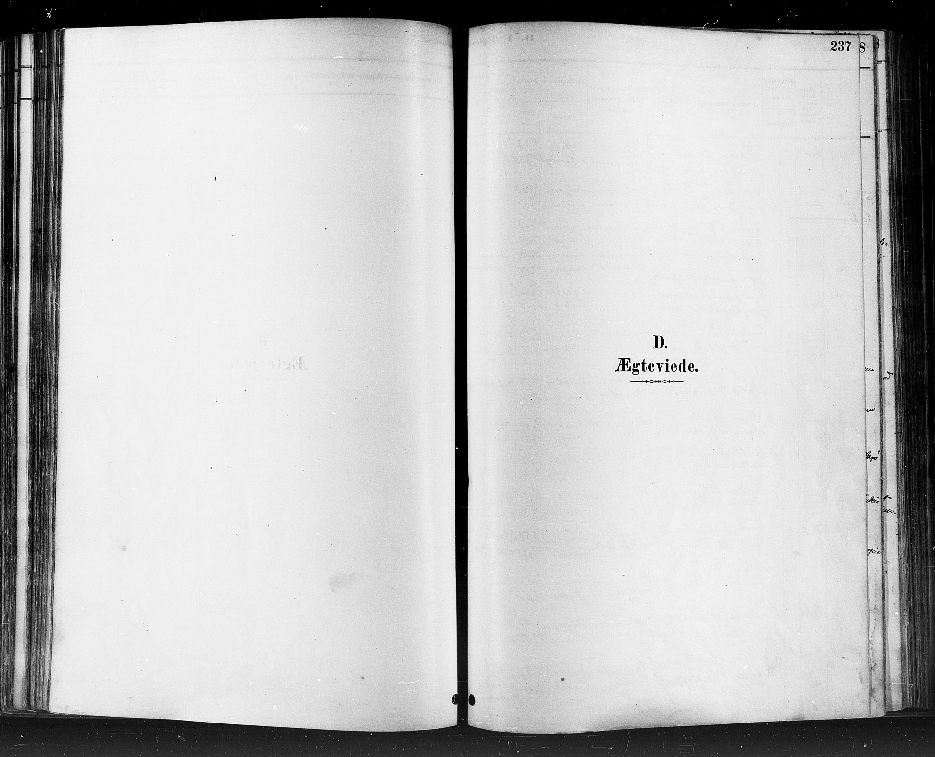 Eiker kirkebøker, SAKO/A-4/F/Fb/L0001: Ministerialbok nr. II 1, 1878-1888, s. 237