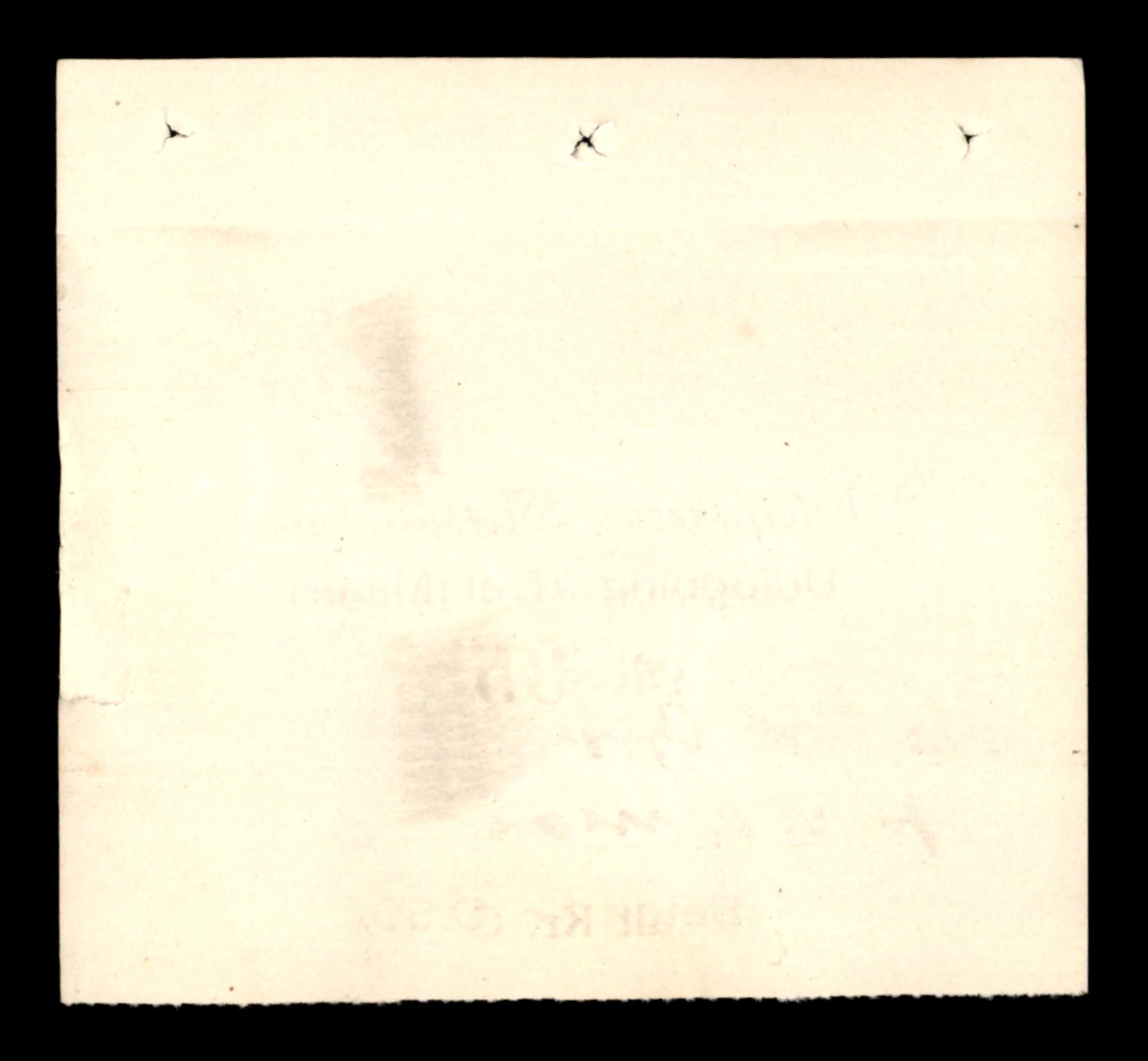 Oppsynssjefen ved Lofotfisket, AV/SAT-A-6224/D/L0178: Lofotfiskernes Selvhjelpskasse, 1880-1906, s. 530