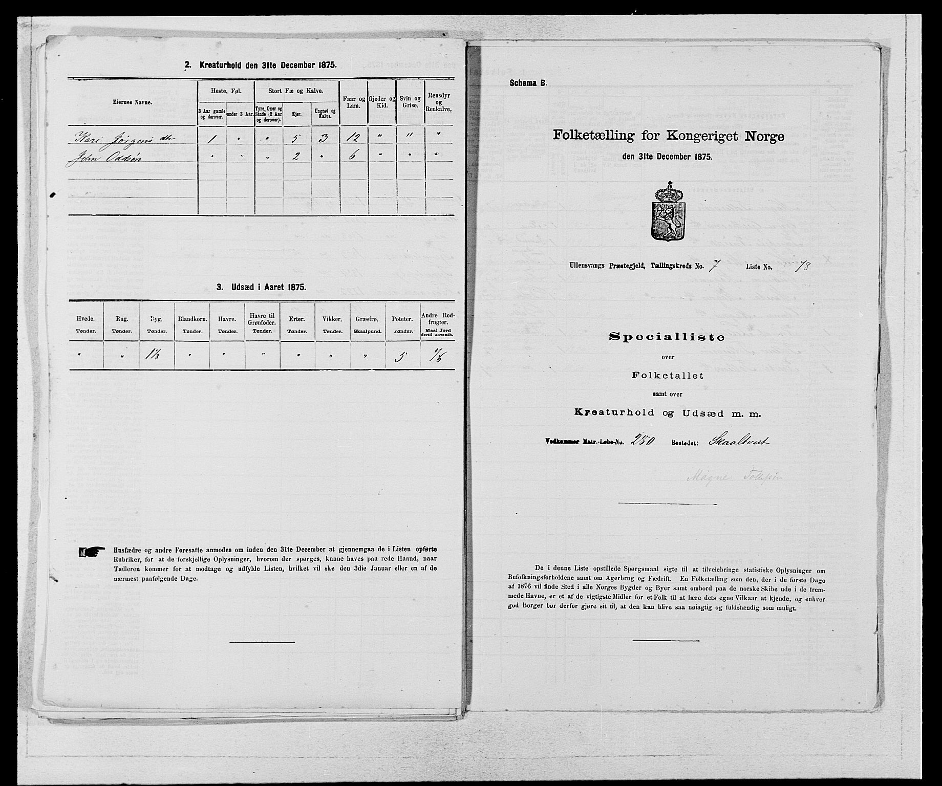 SAB, Folketelling 1875 for 1230P Ullensvang prestegjeld, 1875, s. 736