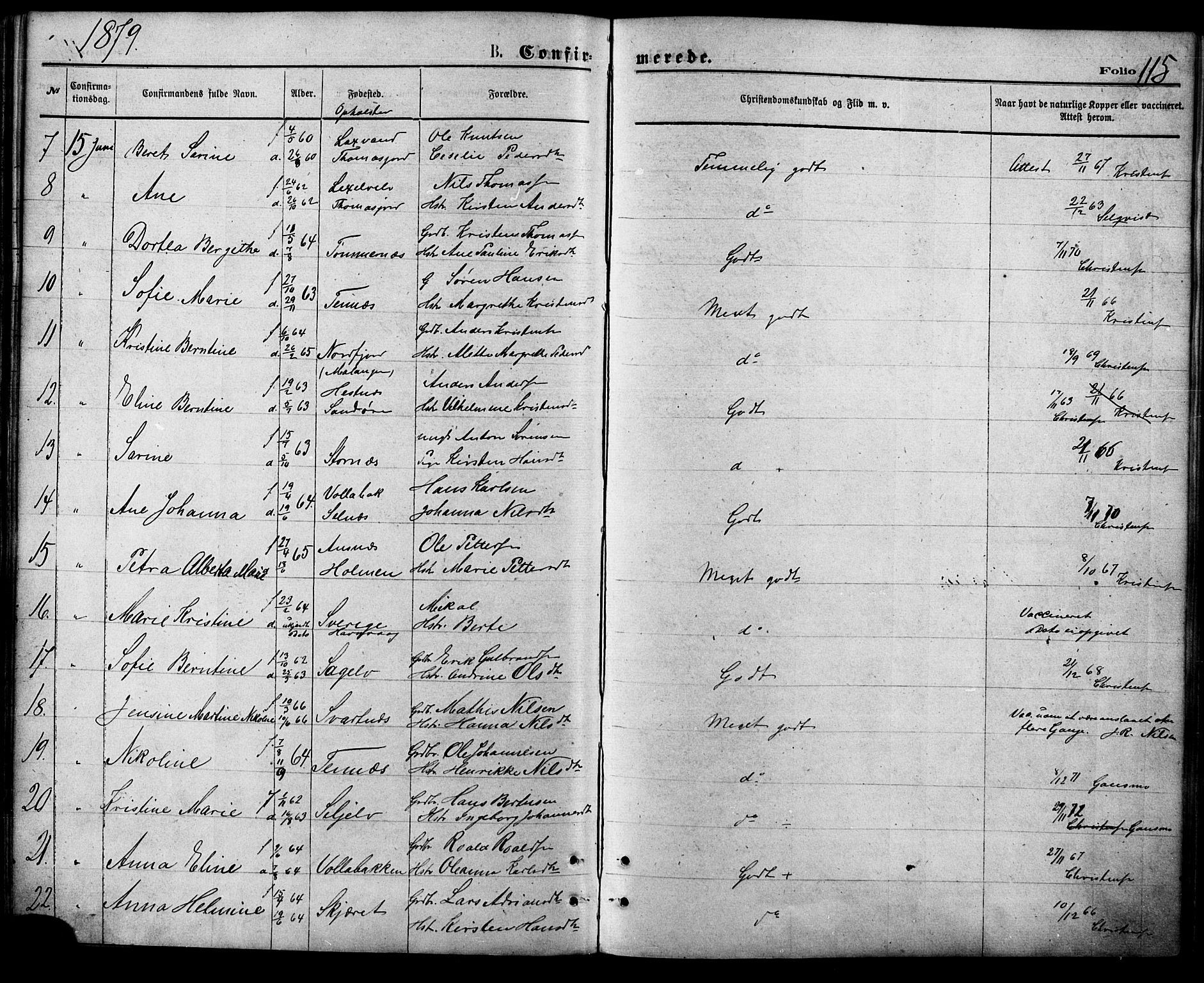 Balsfjord sokneprestembete, AV/SATØ-S-1303/G/Ga/L0004kirke: Ministerialbok nr. 4, 1871-1883, s. 115