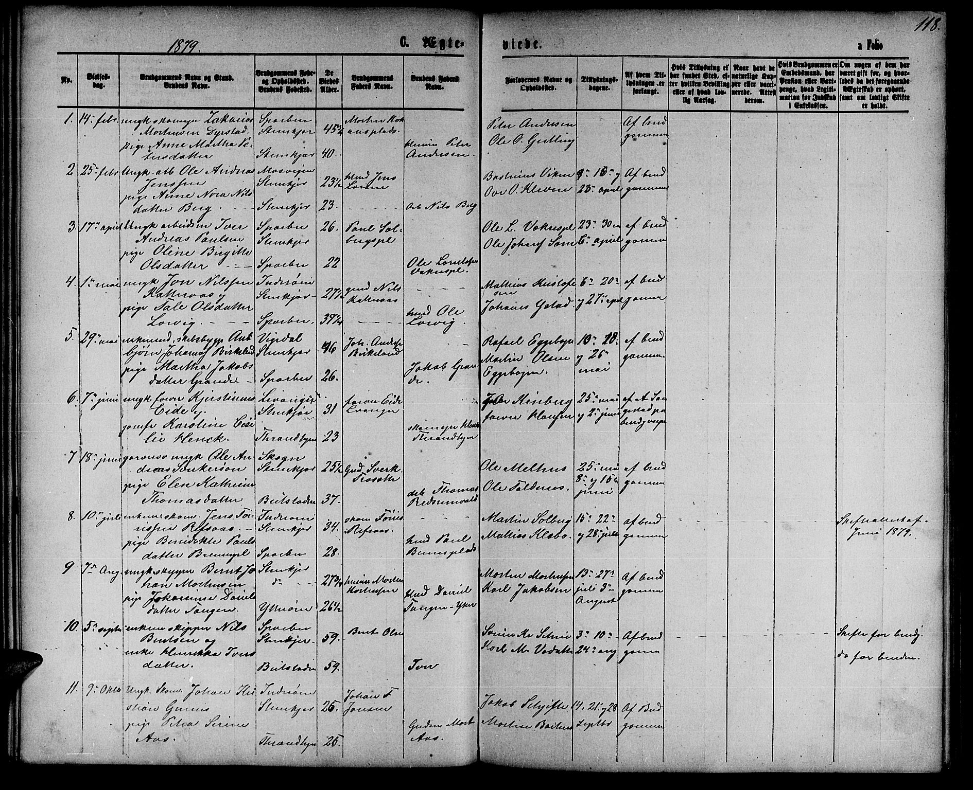 Ministerialprotokoller, klokkerbøker og fødselsregistre - Nord-Trøndelag, SAT/A-1458/739/L0373: Klokkerbok nr. 739C01, 1865-1882, s. 118