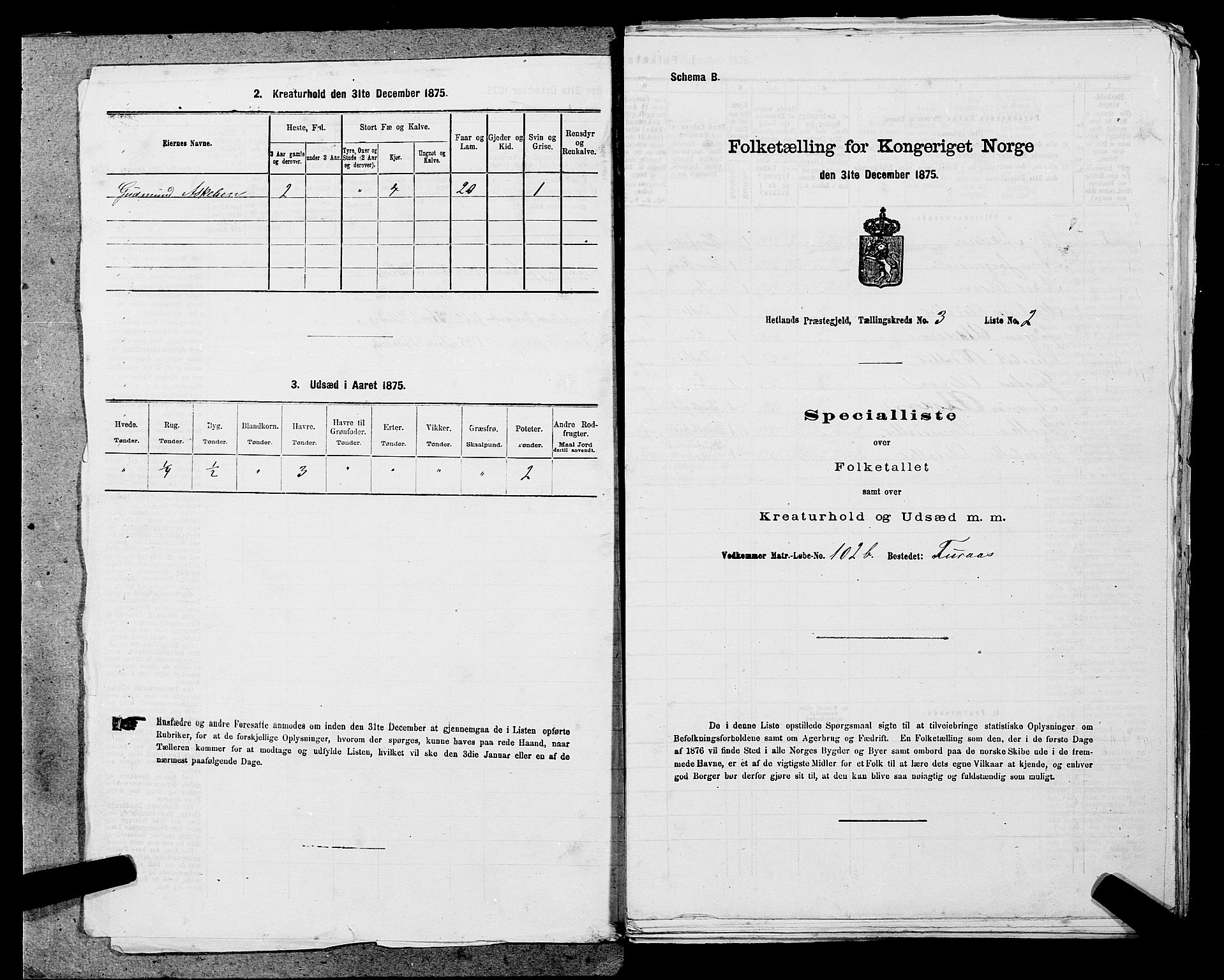 SAST, Folketelling 1875 for 1126P Hetland prestegjeld, 1875, s. 486