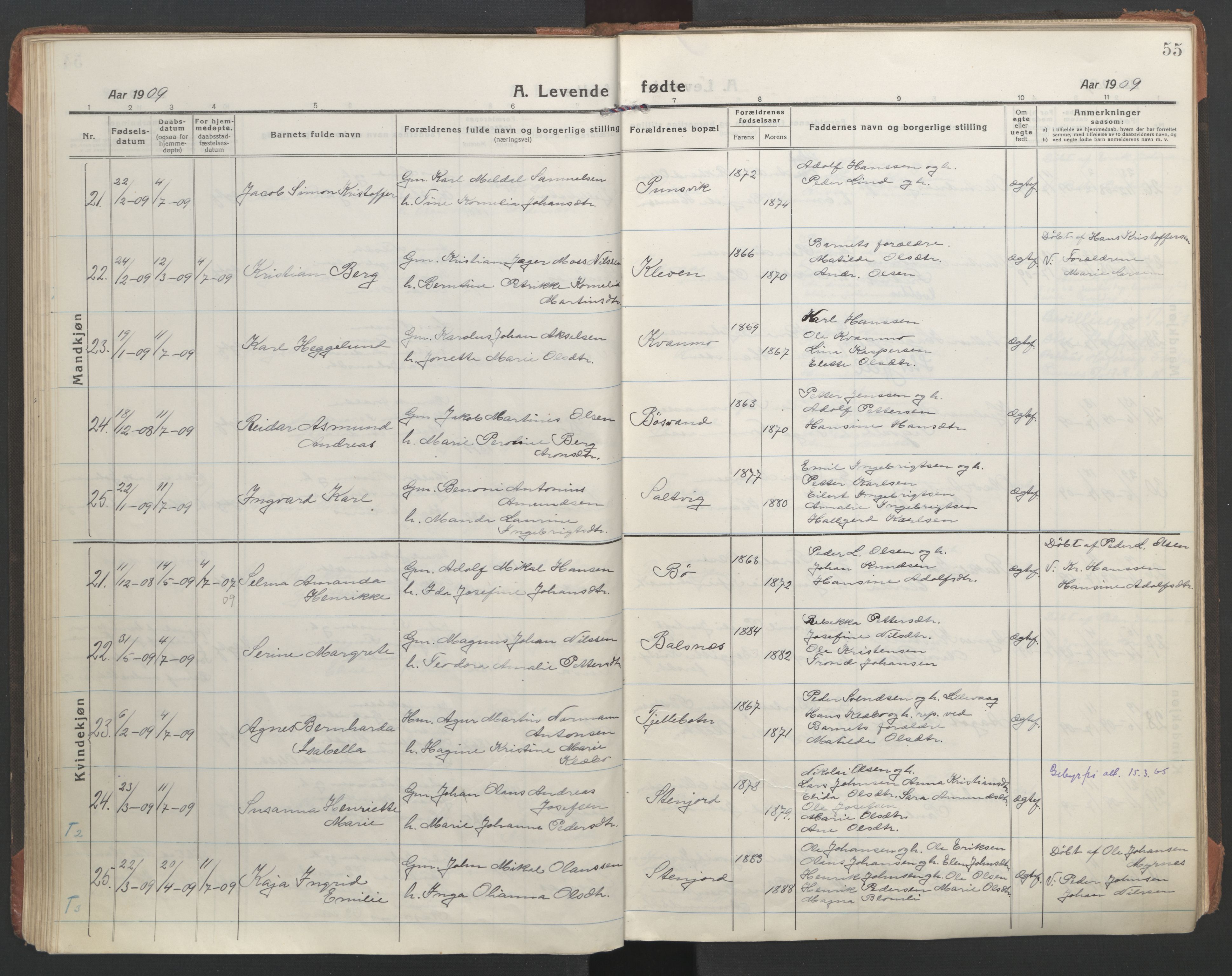 Ministerialprotokoller, klokkerbøker og fødselsregistre - Nordland, AV/SAT-A-1459/863/L0900: Ministerialbok nr. 863A12, 1906-1915, s. 55