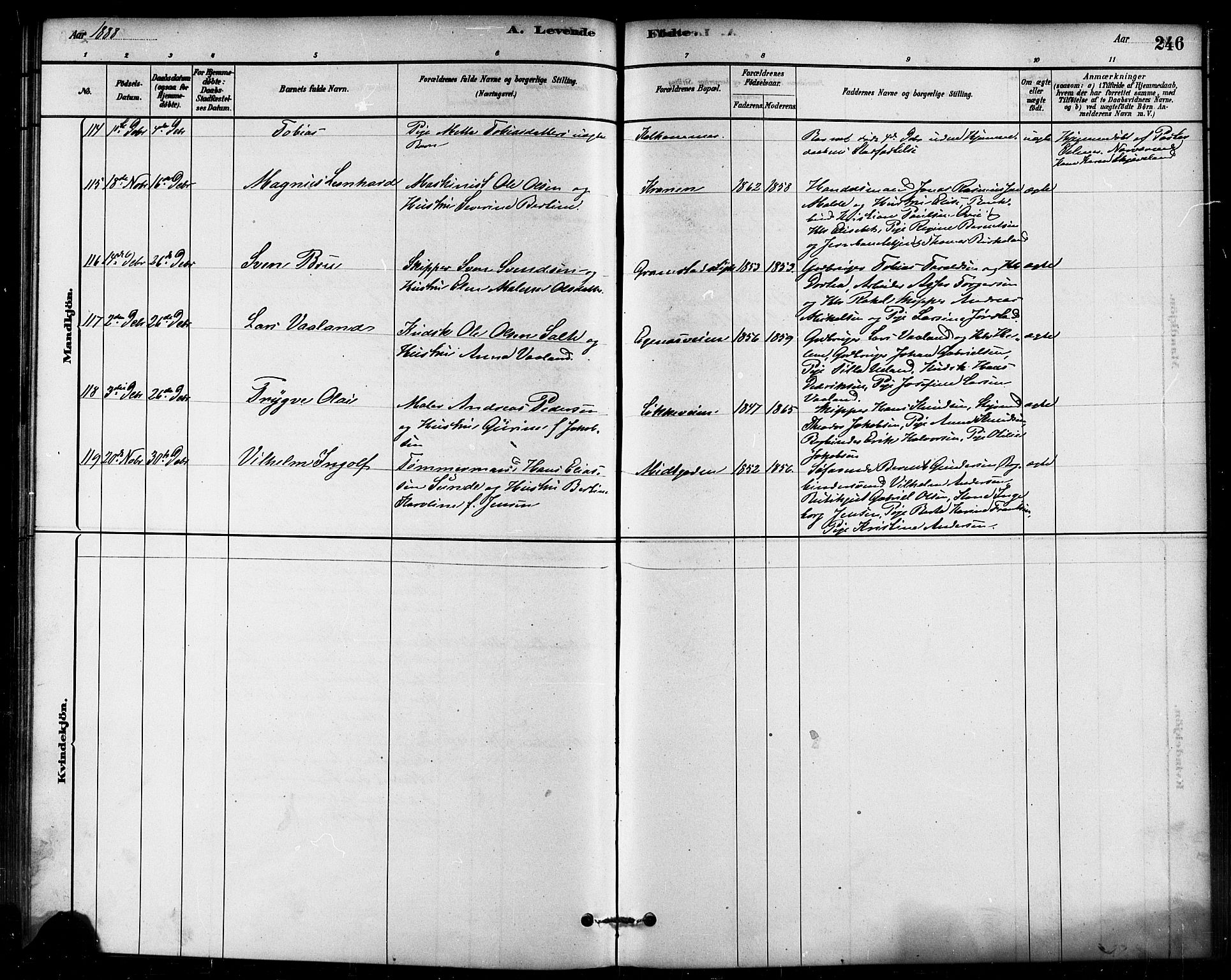 Domkirken sokneprestkontor, AV/SAST-A-101812/001/30/30BB/L0015: Klokkerbok nr. B 15, 1880-1891, s. 246