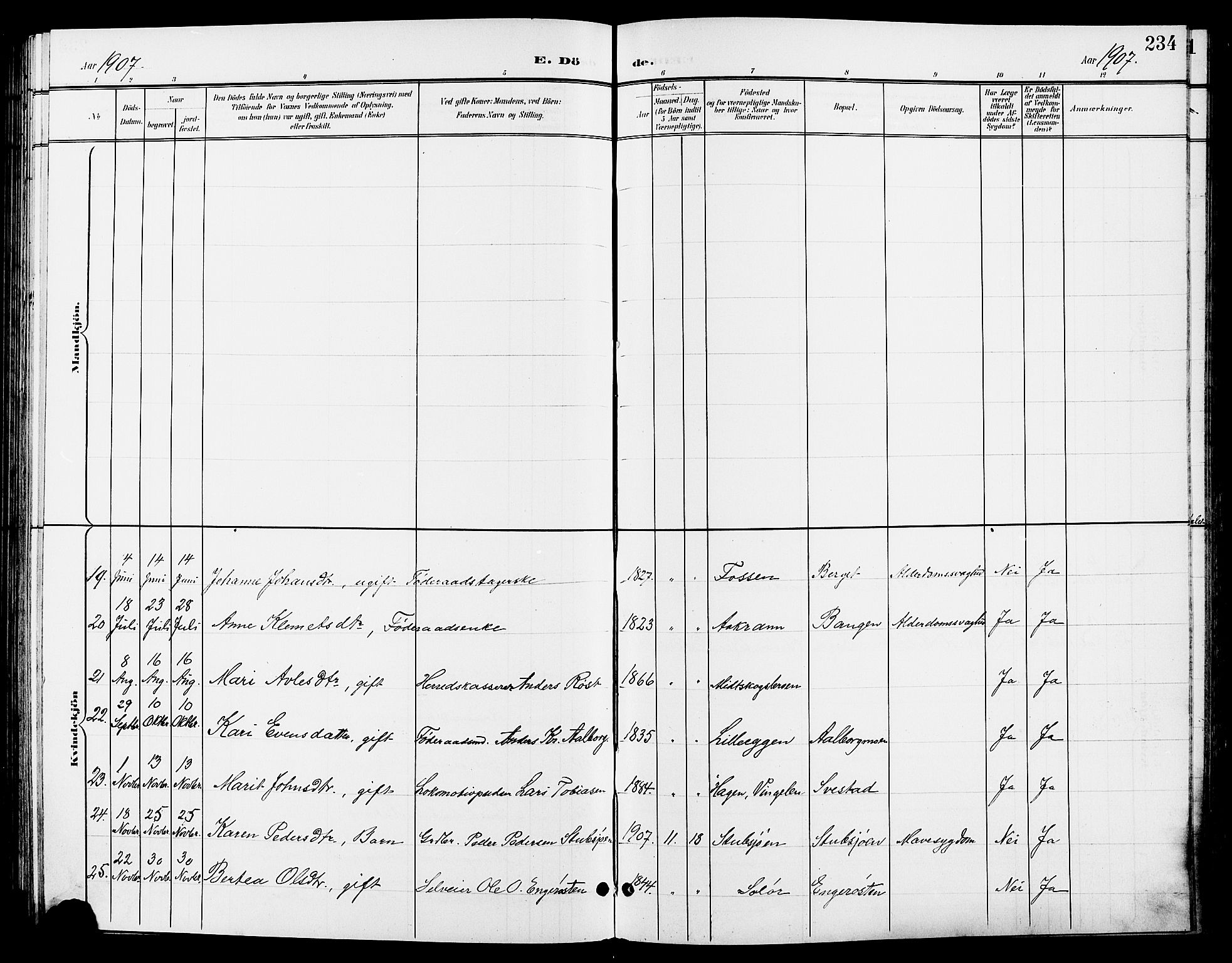 Tynset prestekontor, AV/SAH-PREST-058/H/Ha/Hab/L0009: Klokkerbok nr. 9, 1900-1914, s. 234