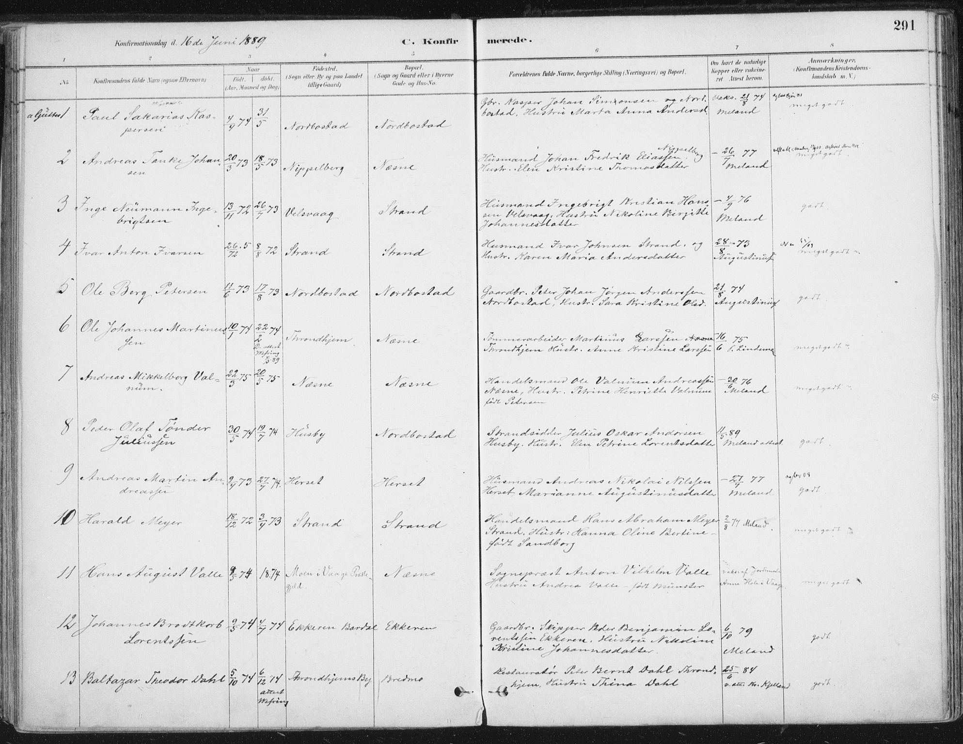 Ministerialprotokoller, klokkerbøker og fødselsregistre - Nordland, SAT/A-1459/838/L0552: Ministerialbok nr. 838A10, 1880-1910, s. 291