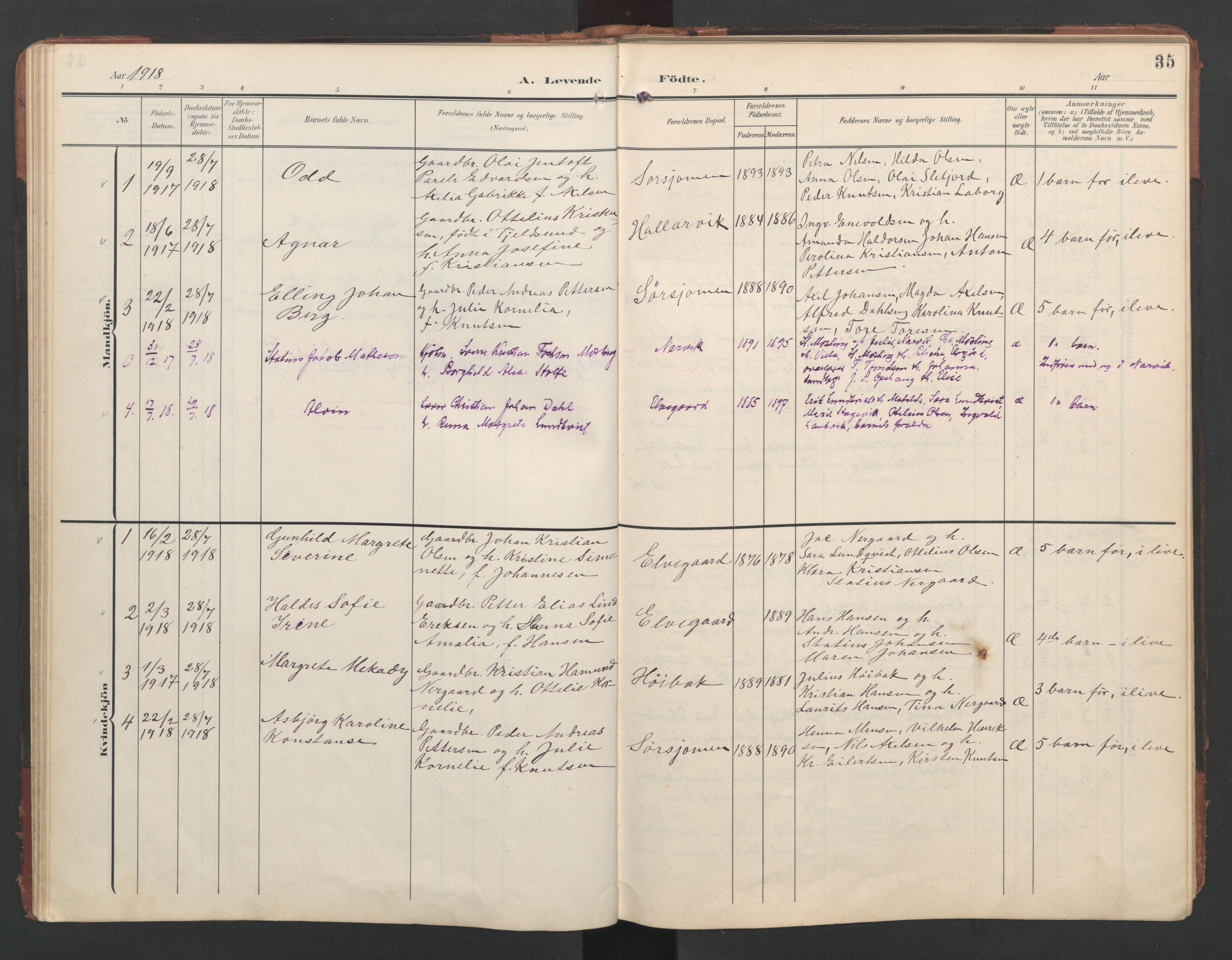 Ministerialprotokoller, klokkerbøker og fødselsregistre - Nordland, AV/SAT-A-1459/867/L0966: Klokkerbok nr. 867C01, 1904-1952, s. 35