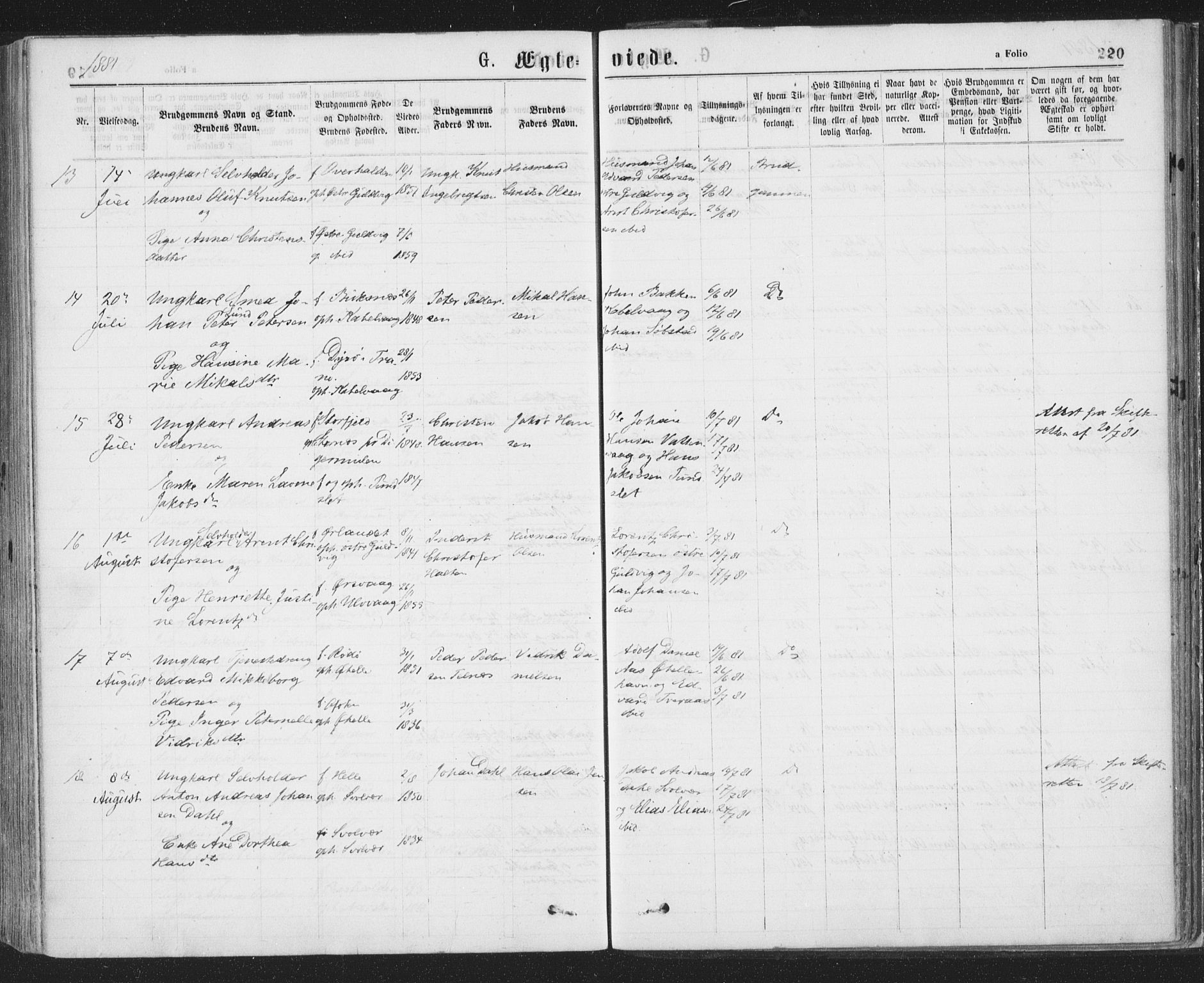 Ministerialprotokoller, klokkerbøker og fødselsregistre - Nordland, SAT/A-1459/874/L1058: Ministerialbok nr. 874A02, 1878-1883, s. 220