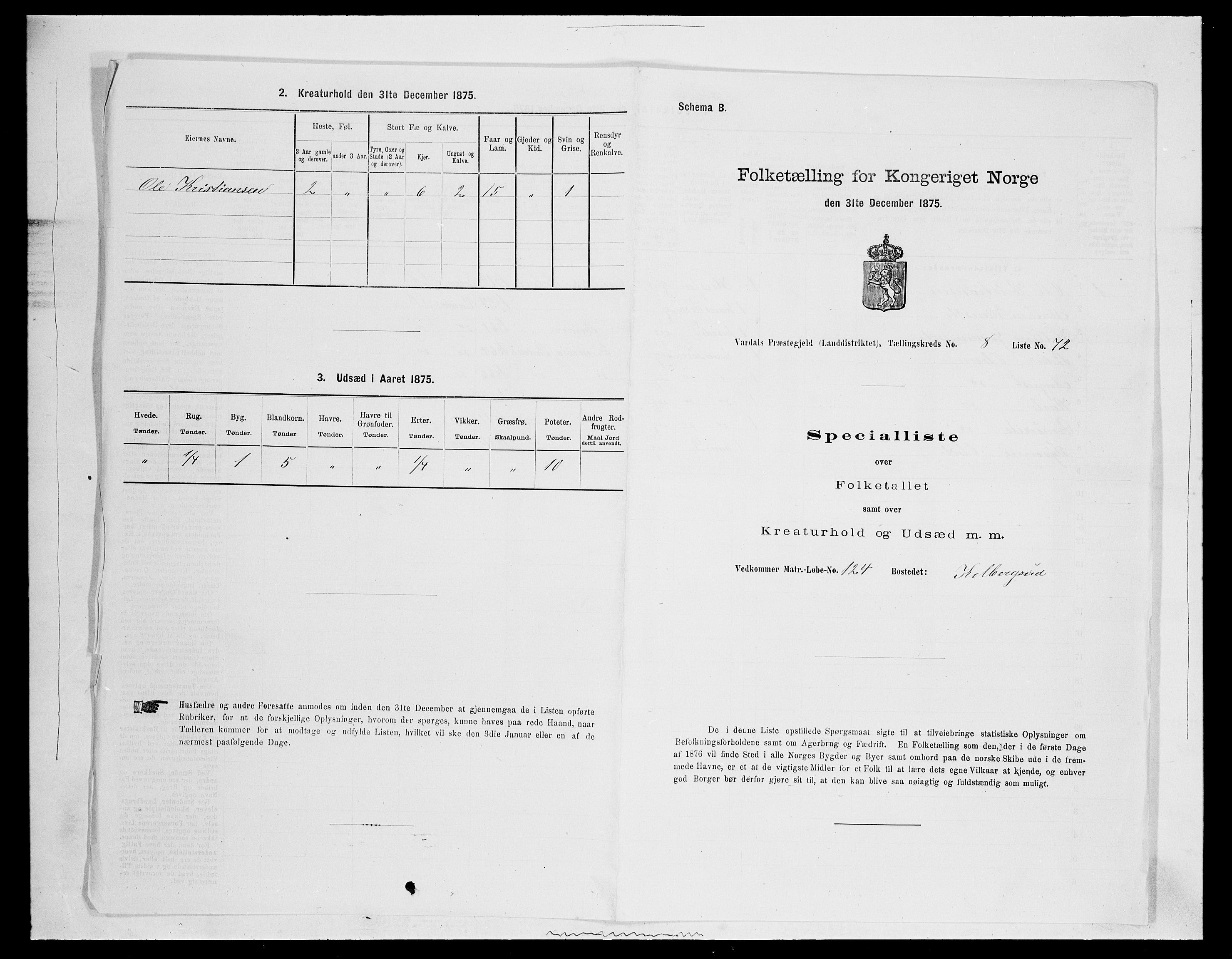 SAH, Folketelling 1875 for 0527L Vardal prestegjeld, Vardal sokn og Hunn sokn, 1875, s. 1266