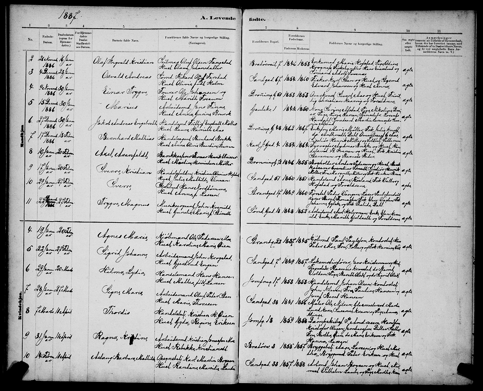 Ministerialprotokoller, klokkerbøker og fødselsregistre - Sør-Trøndelag, AV/SAT-A-1456/602/L0143: Klokkerbok nr. 602C11, 1878-1902