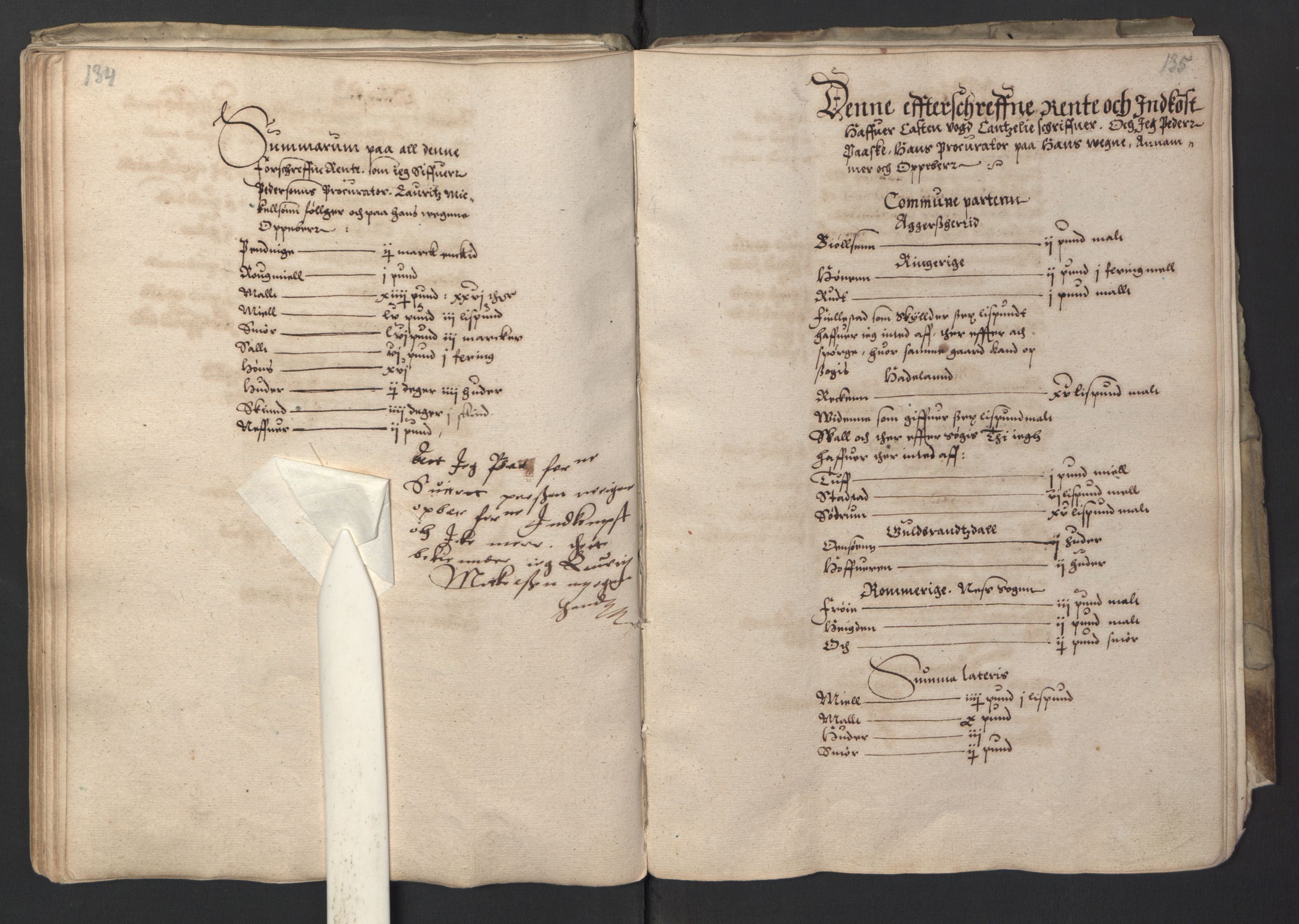 Stattholderembetet 1572-1771, AV/RA-EA-2870/Ek/L0001/0001: Jordebøker før 1624 og til utligning av garnisonsskatt 1624-1626: / Jordebok for Oslo kapitel, 1595, s. 77
