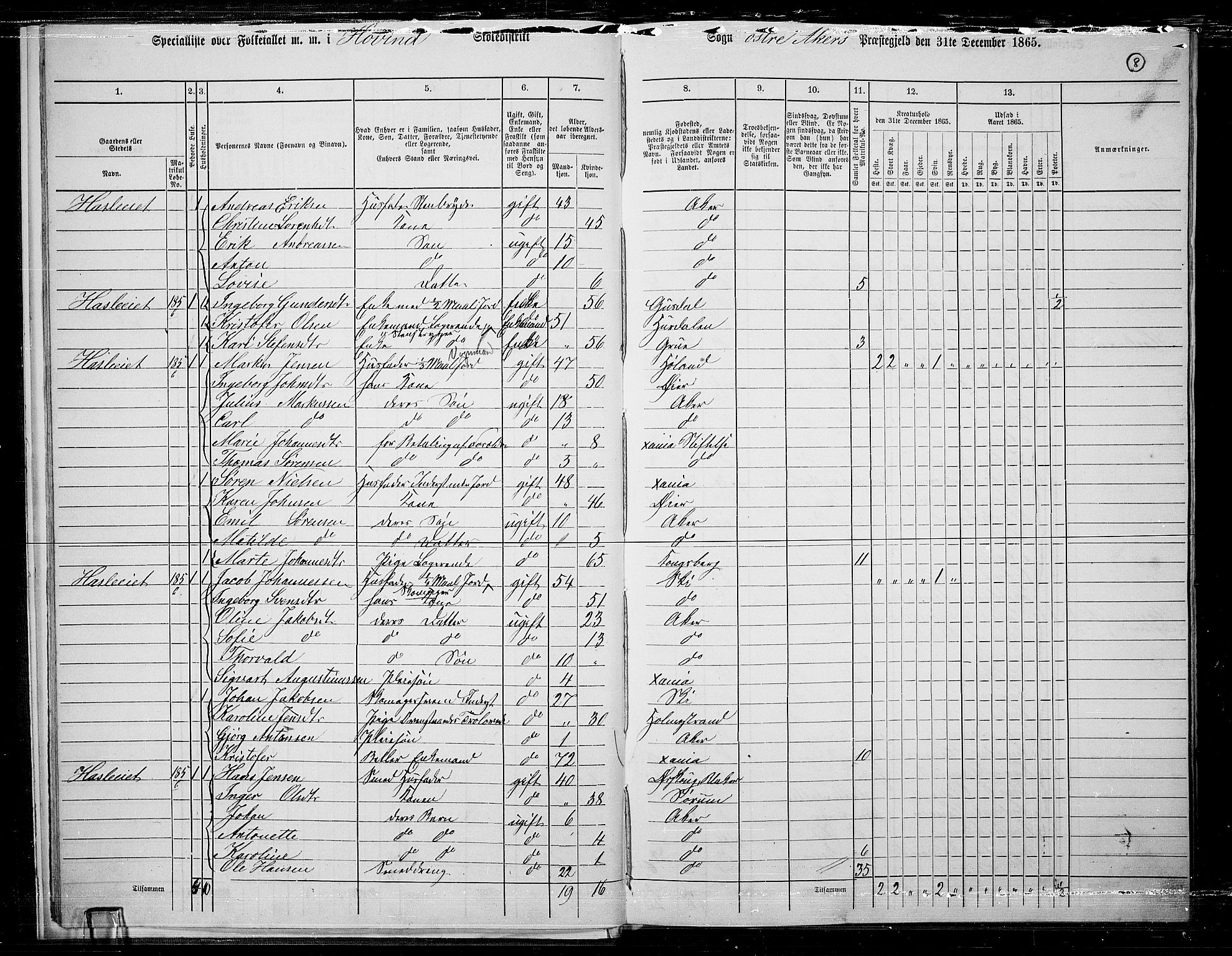 RA, Folketelling 1865 for 0218bP Østre Aker prestegjeld, 1865, s. 232