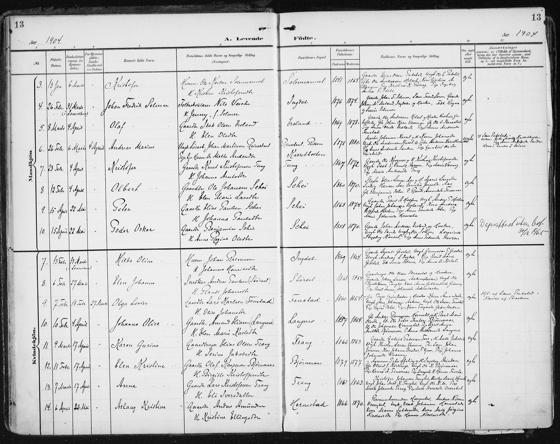Ministerialprotokoller, klokkerbøker og fødselsregistre - Sør-Trøndelag, AV/SAT-A-1456/646/L0616: Ministerialbok nr. 646A14, 1900-1918, s. 13