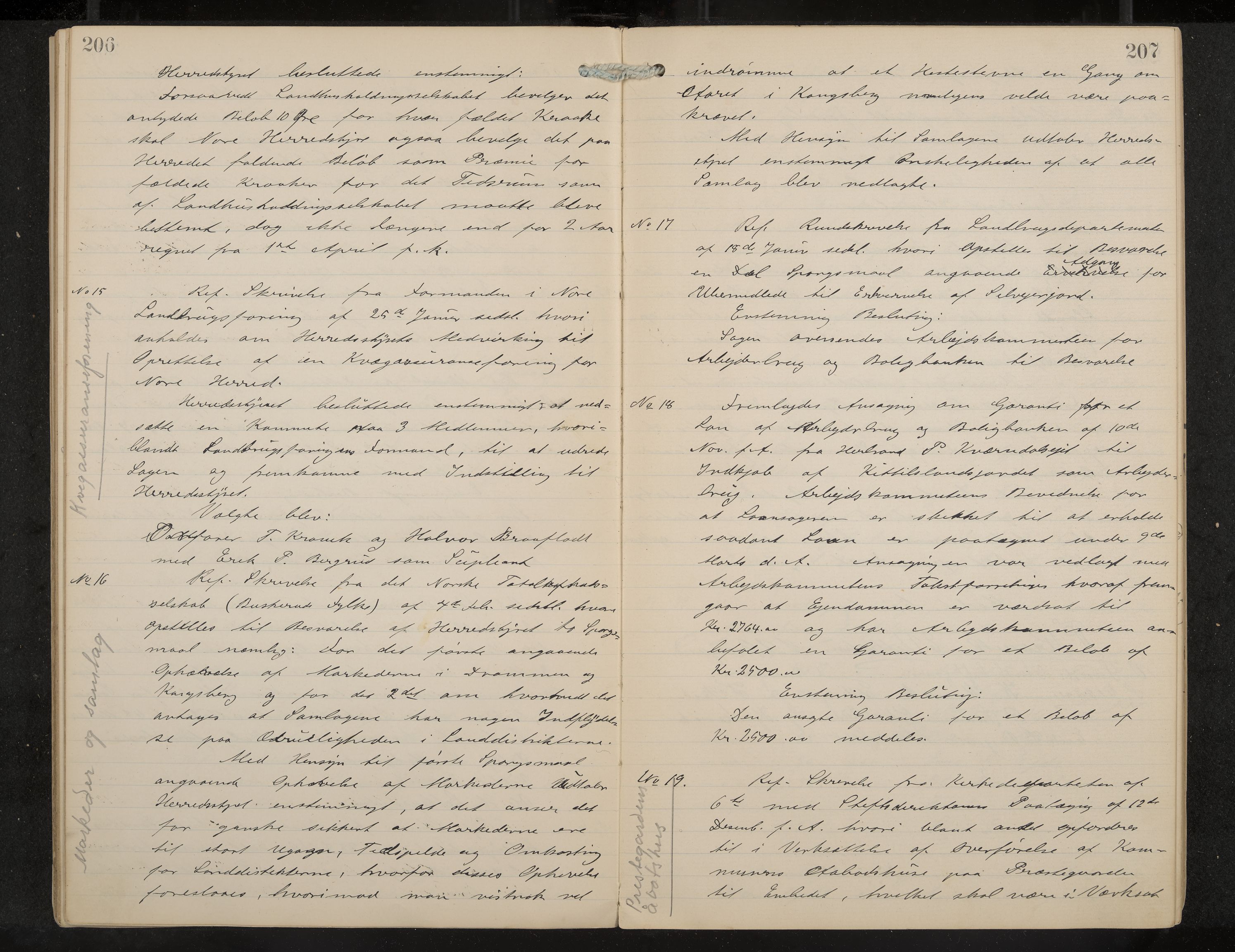 Nore formannskap og sentraladministrasjon, IKAK/0633021-2/A/Aa/L0001: Møtebok, 1901-1911, s. 206-207