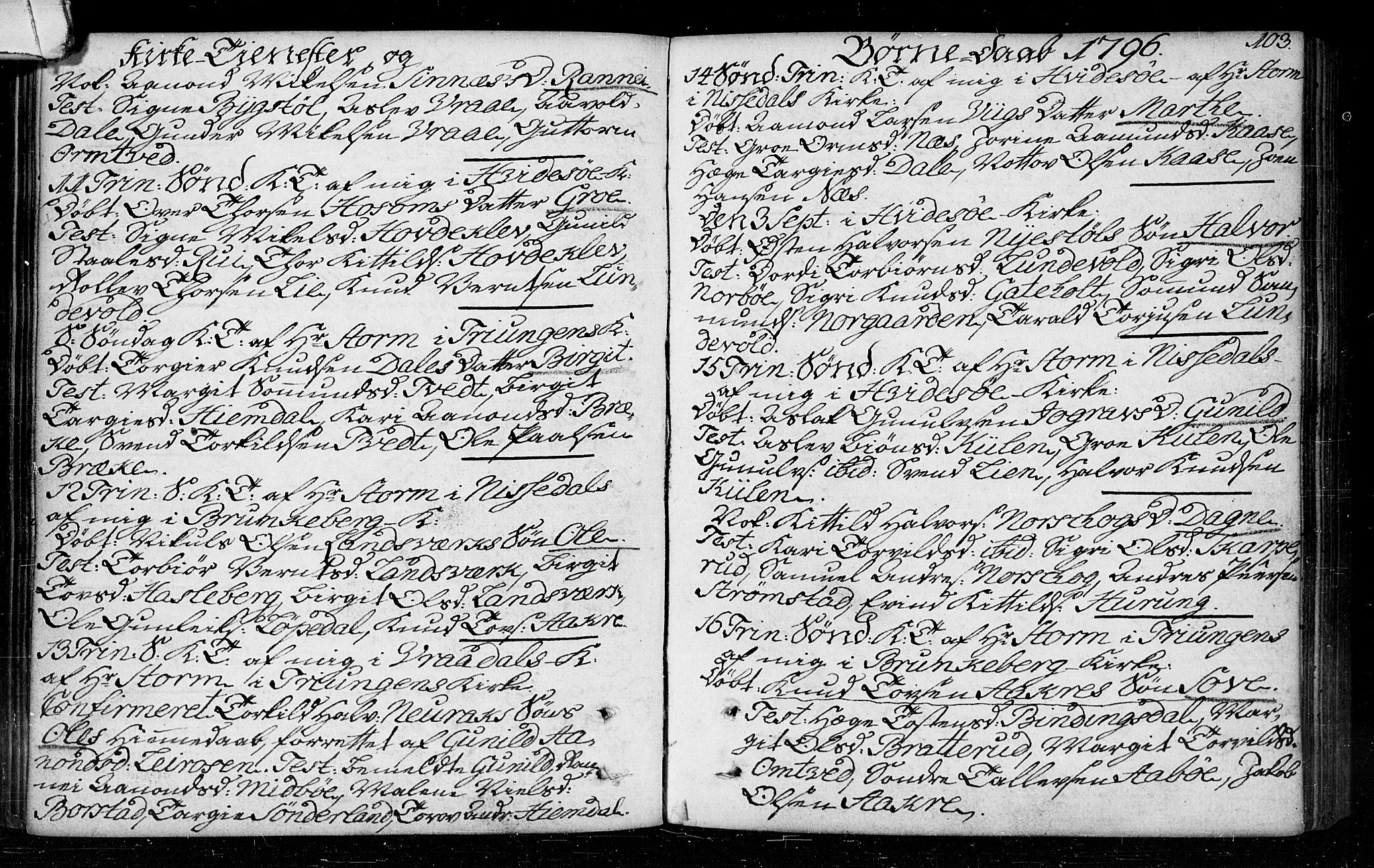Kviteseid kirkebøker, SAKO/A-276/F/Fa/L0003: Ministerialbok nr. I 3, 1787-1799, s. 103