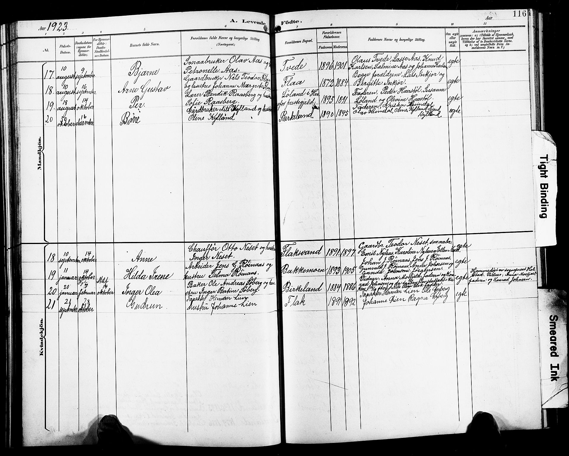 Birkenes sokneprestkontor, AV/SAK-1111-0004/F/Fb/L0004: Klokkerbok nr. B 4, 1893-1930, s. 116