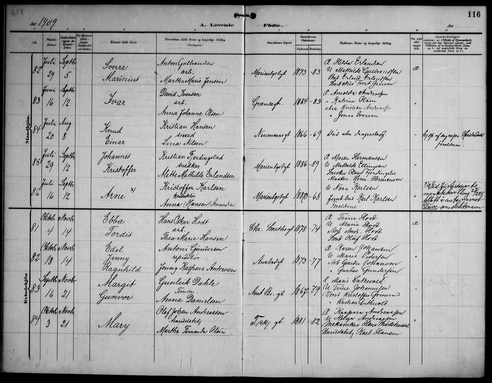 Strømsø kirkebøker, AV/SAKO-A-246/F/Fa/L0026: Ministerialbok nr. I 26, 1905-1914, s. 116