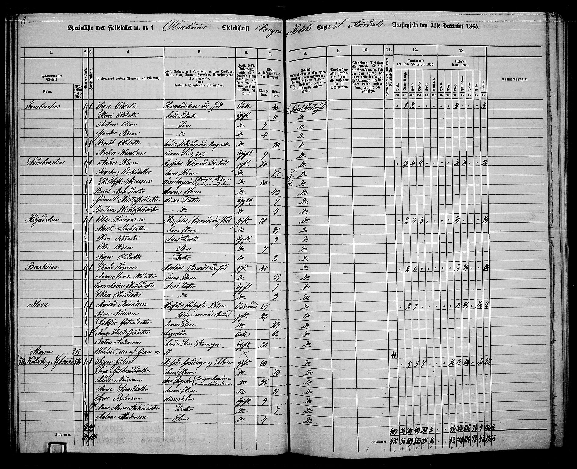 RA, Folketelling 1865 for 0540P Sør-Aurdal prestegjeld, 1865, s. 114