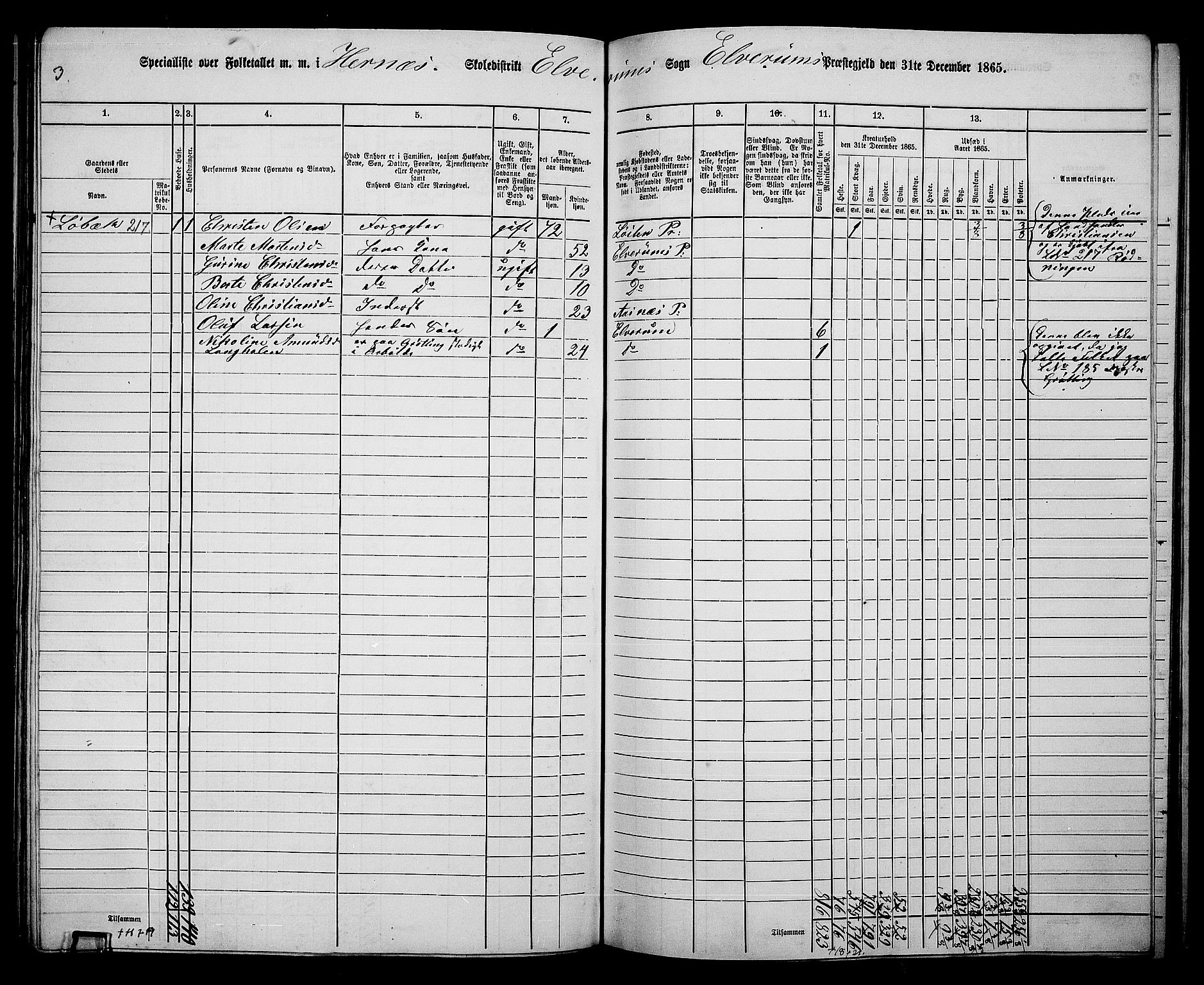 RA, Folketelling 1865 for 0427P Elverum prestegjeld, 1865, s. 182