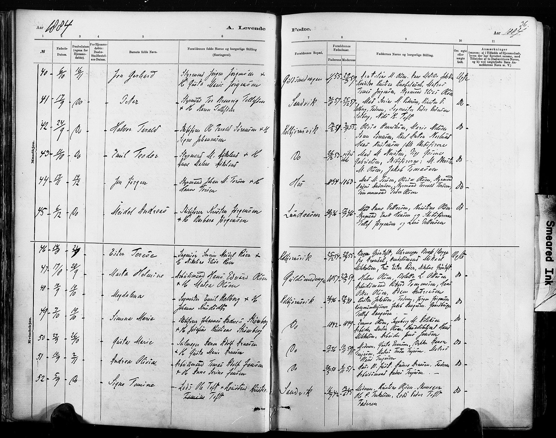 Hisøy sokneprestkontor, AV/SAK-1111-0020/F/Fa/L0003: Ministerialbok nr. A 3, 1881-1894, s. 36
