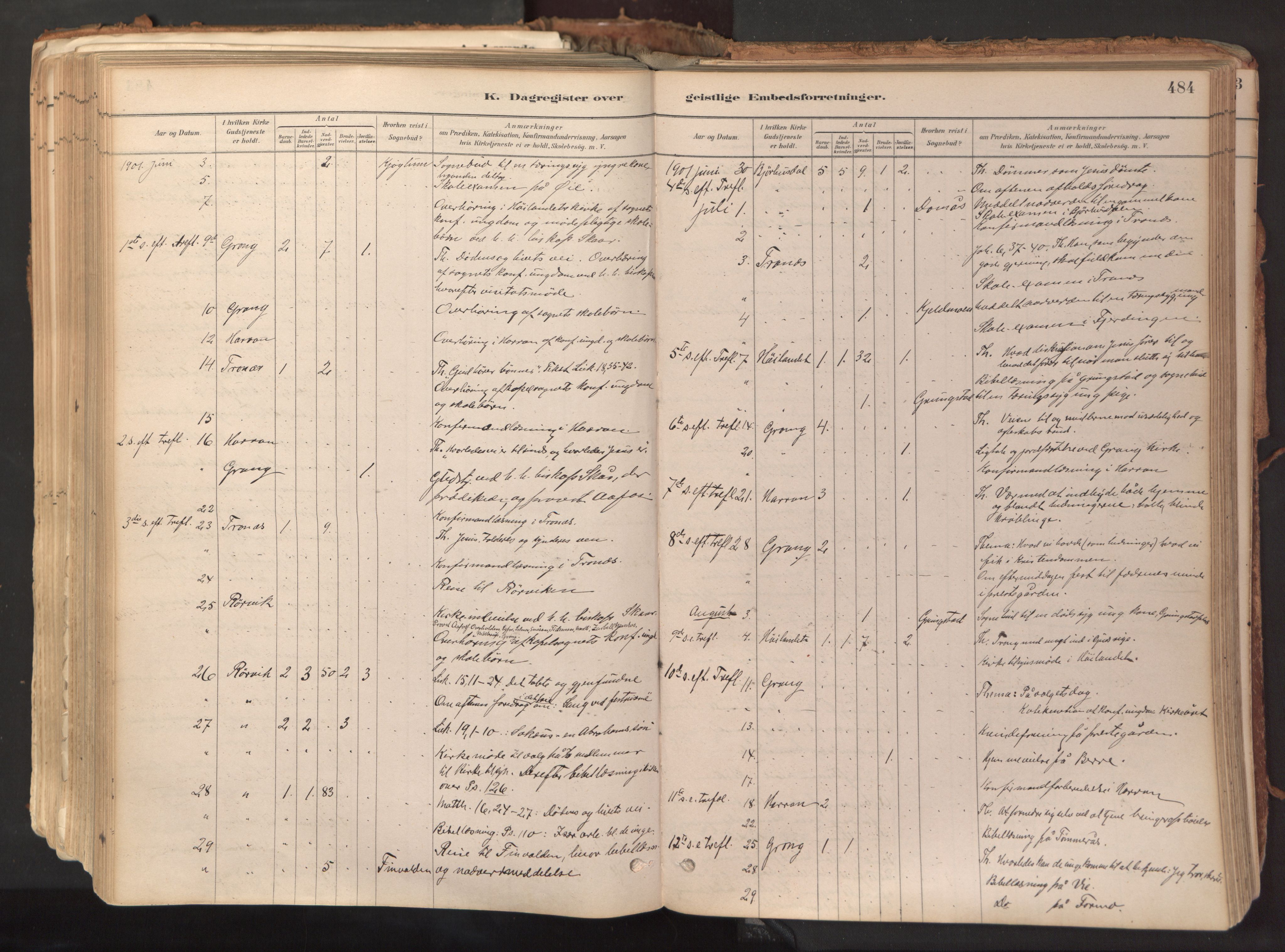 Ministerialprotokoller, klokkerbøker og fødselsregistre - Nord-Trøndelag, AV/SAT-A-1458/758/L0519: Ministerialbok nr. 758A04, 1880-1926, s. 484