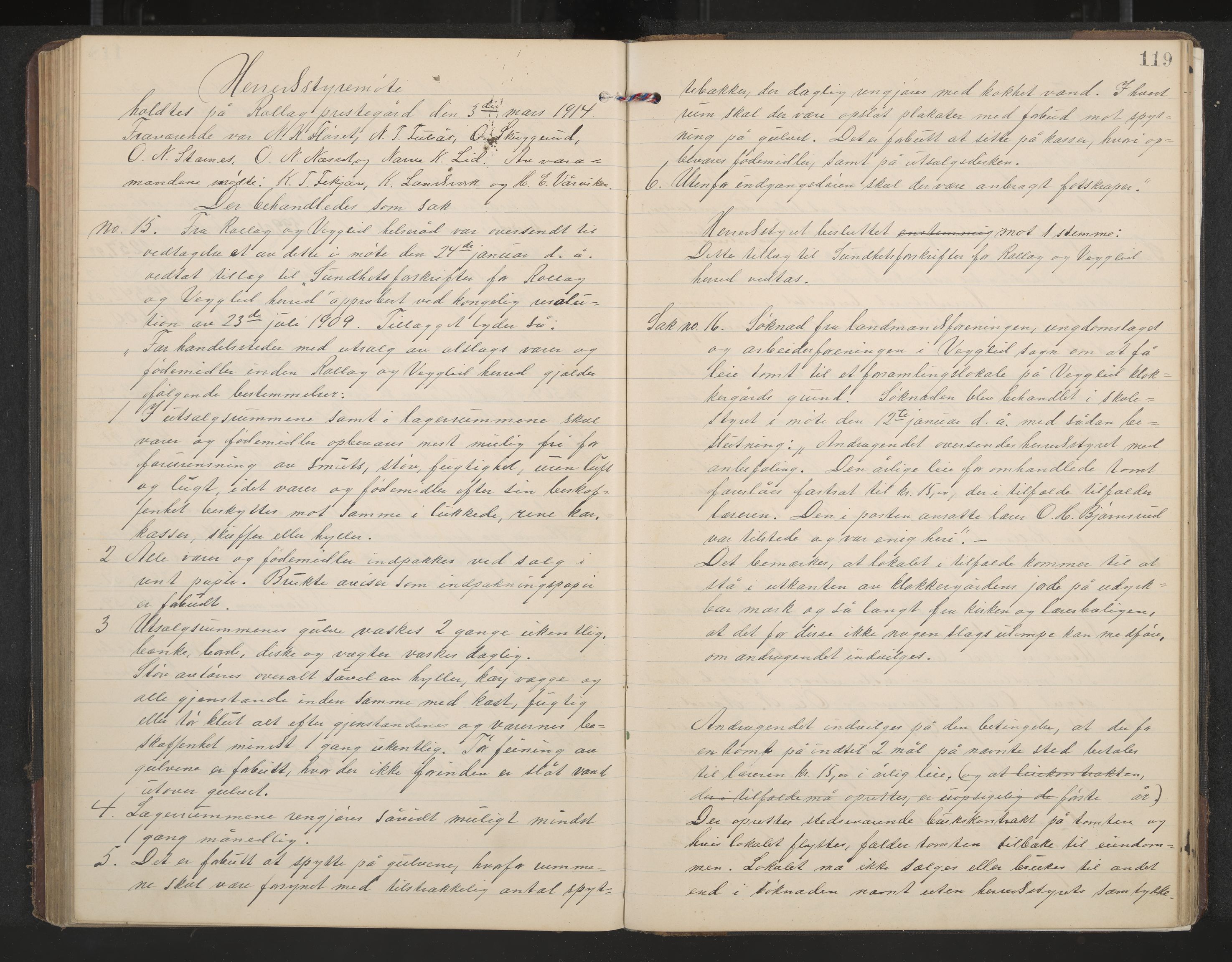 Rollag formannskap og sentraladministrasjon, IKAK/0632021-2/A/Aa/L0005: Møtebok, 1909-1915, s. 119