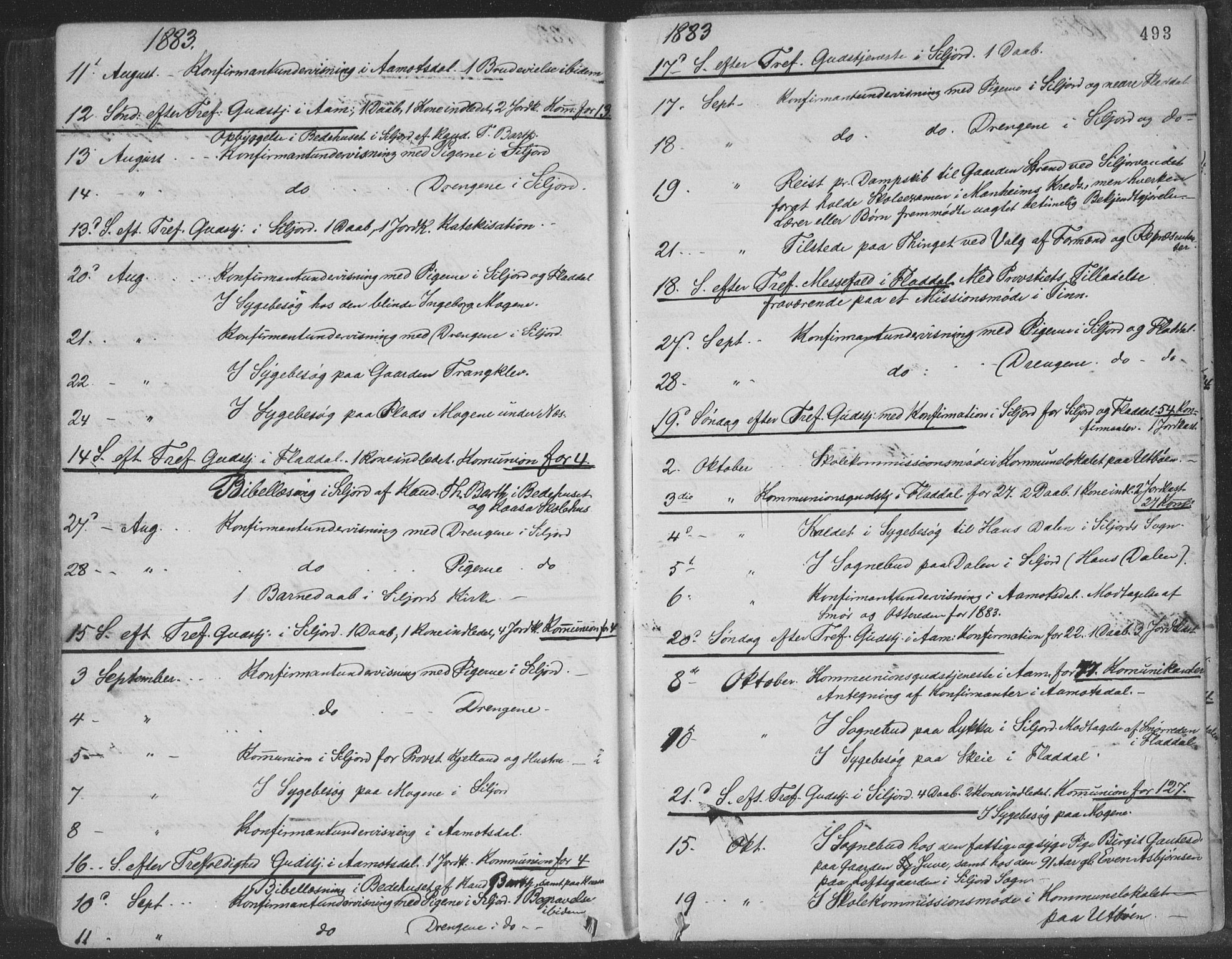 Seljord kirkebøker, SAKO/A-20/F/Fa/L0014: Ministerialbok nr. I 14, 1877-1886, s. 493