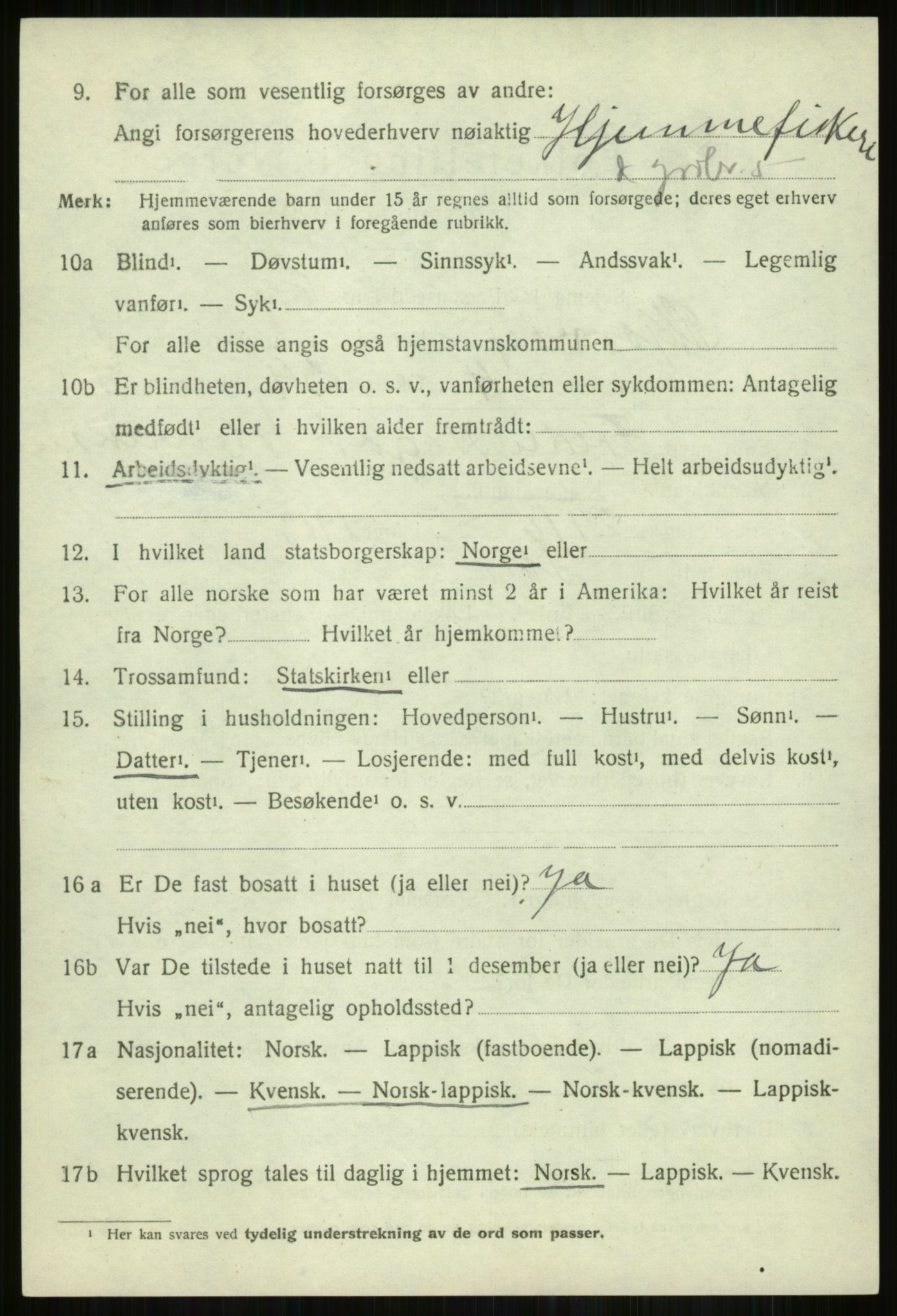 SATØ, Folketelling 1920 for 1941 Skjervøy herred, 1920, s. 4324