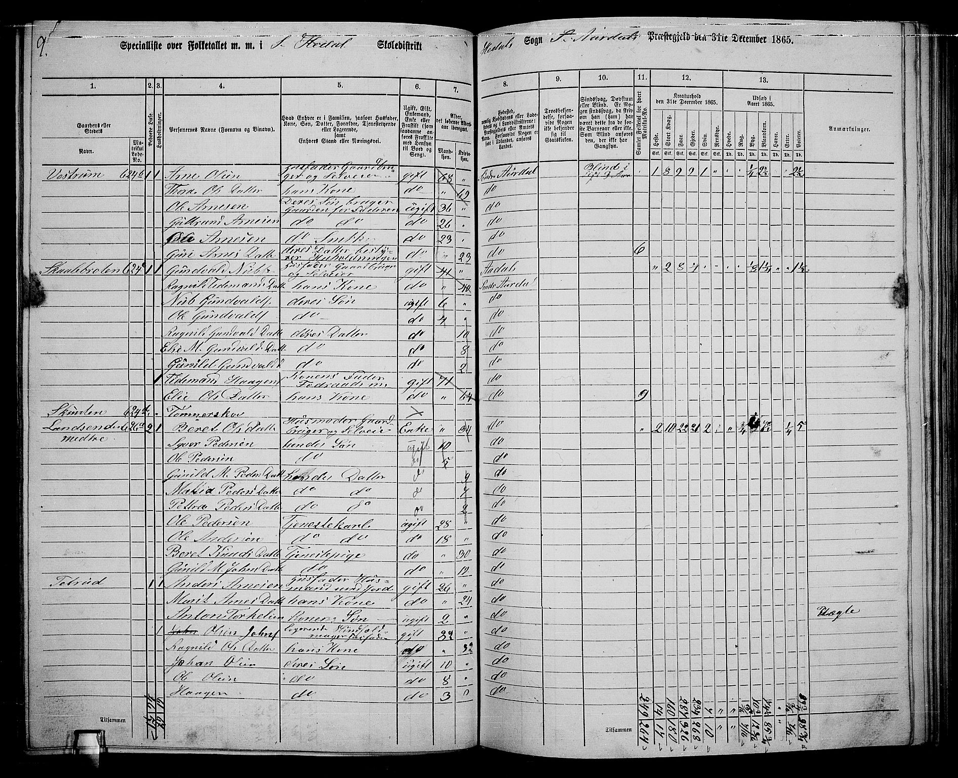 RA, Folketelling 1865 for 0540P Sør-Aurdal prestegjeld, 1865, s. 176