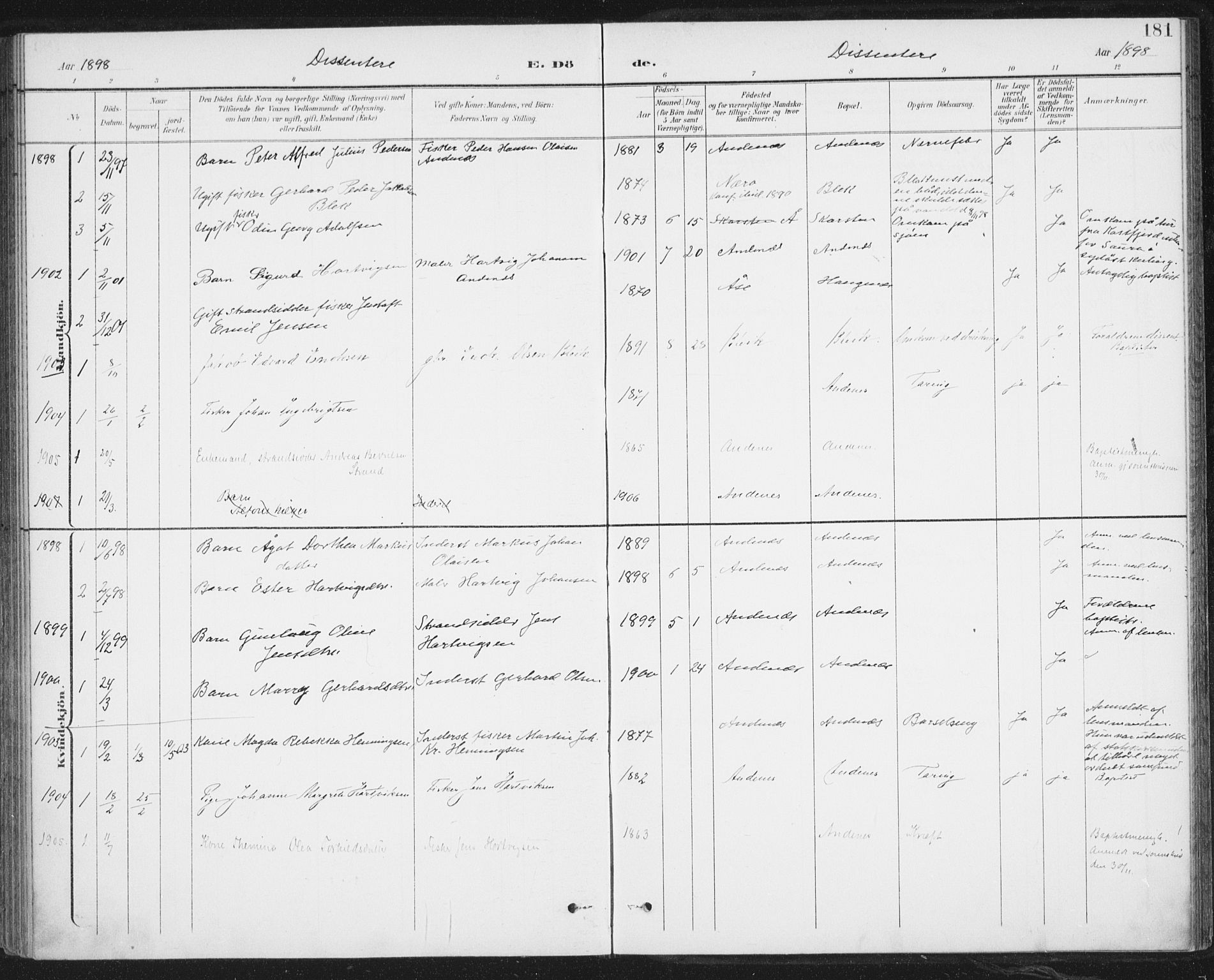 Ministerialprotokoller, klokkerbøker og fødselsregistre - Nordland, AV/SAT-A-1459/899/L1437: Ministerialbok nr. 899A05, 1897-1908, s. 181