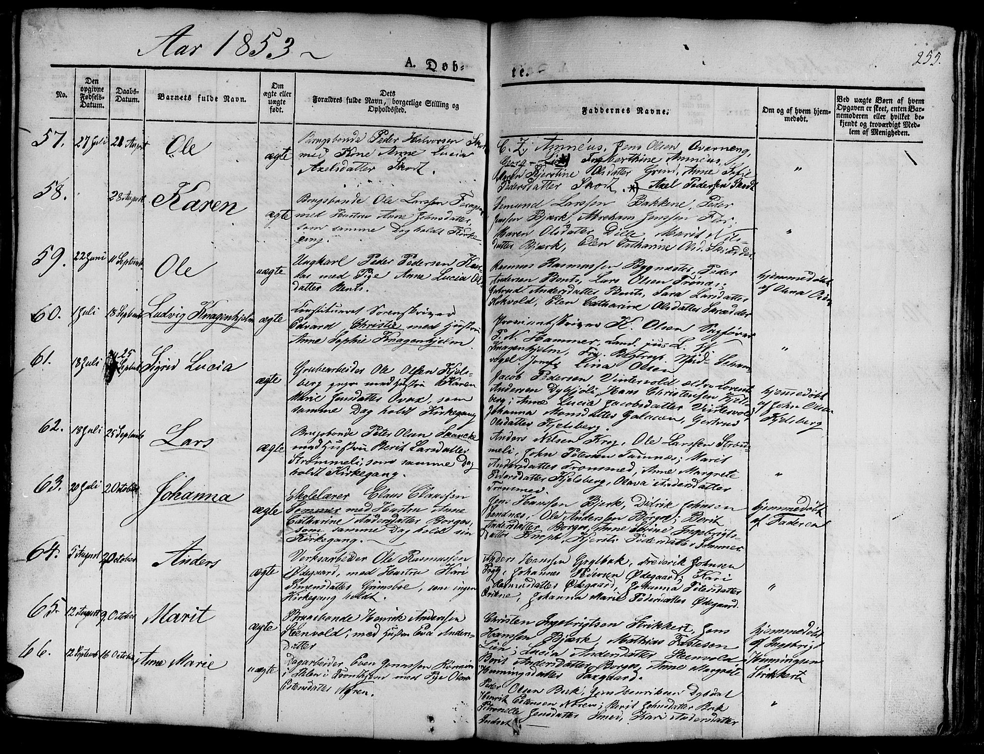 Ministerialprotokoller, klokkerbøker og fødselsregistre - Sør-Trøndelag, SAT/A-1456/681/L0938: Klokkerbok nr. 681C02, 1829-1879, s. 255