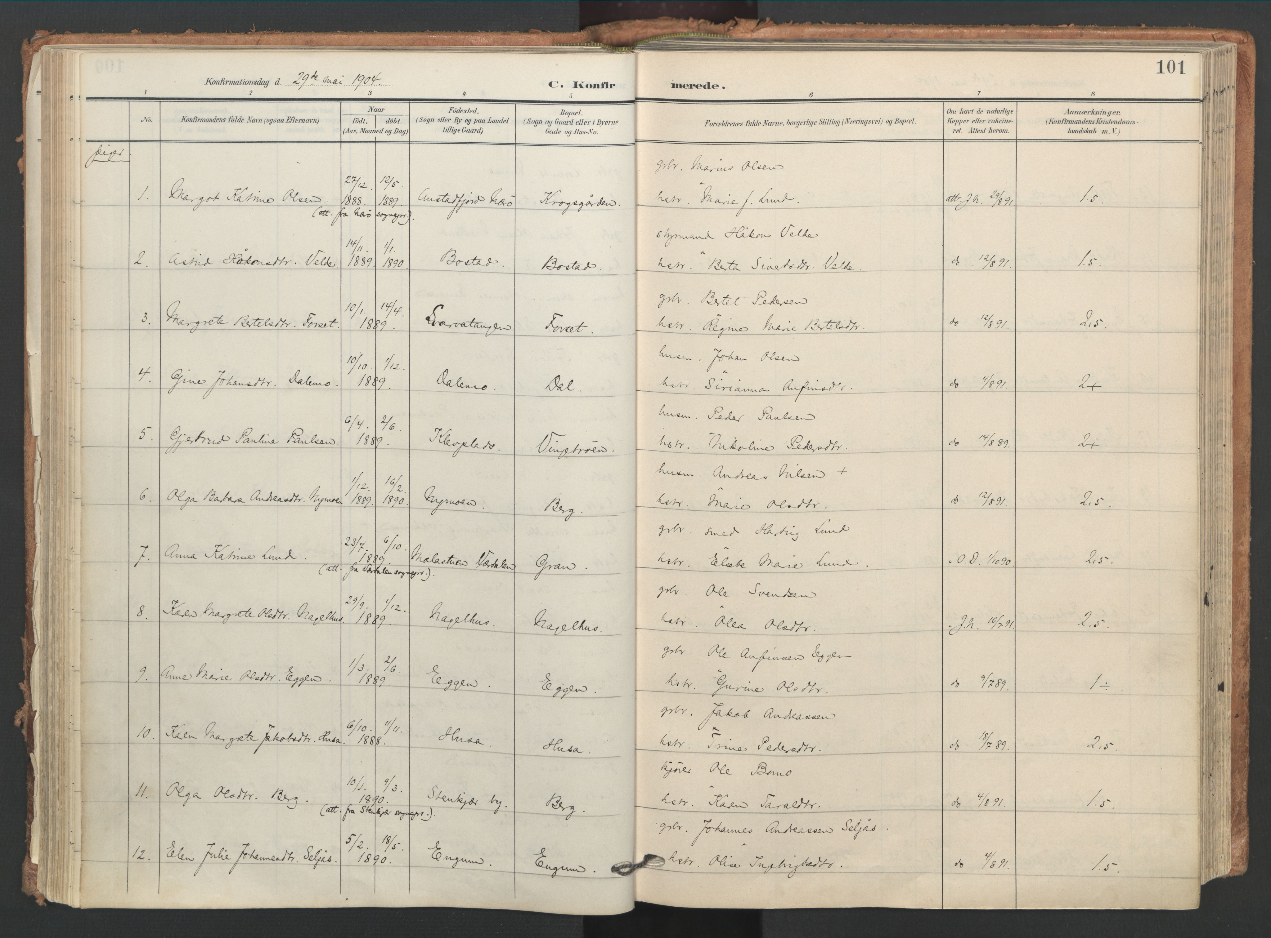 Ministerialprotokoller, klokkerbøker og fødselsregistre - Nord-Trøndelag, AV/SAT-A-1458/749/L0477: Ministerialbok nr. 749A11, 1902-1927, s. 101