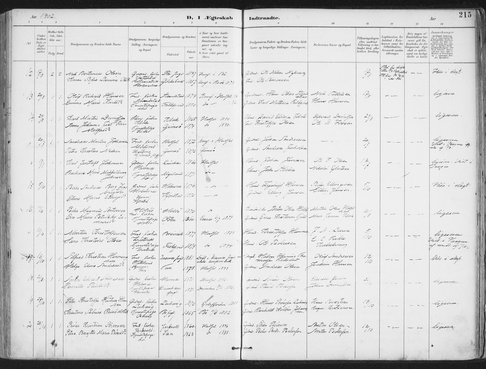Ministerialprotokoller, klokkerbøker og fødselsregistre - Nordland, AV/SAT-A-1459/888/L1246: Ministerialbok nr. 888A12, 1891-1903, s. 215