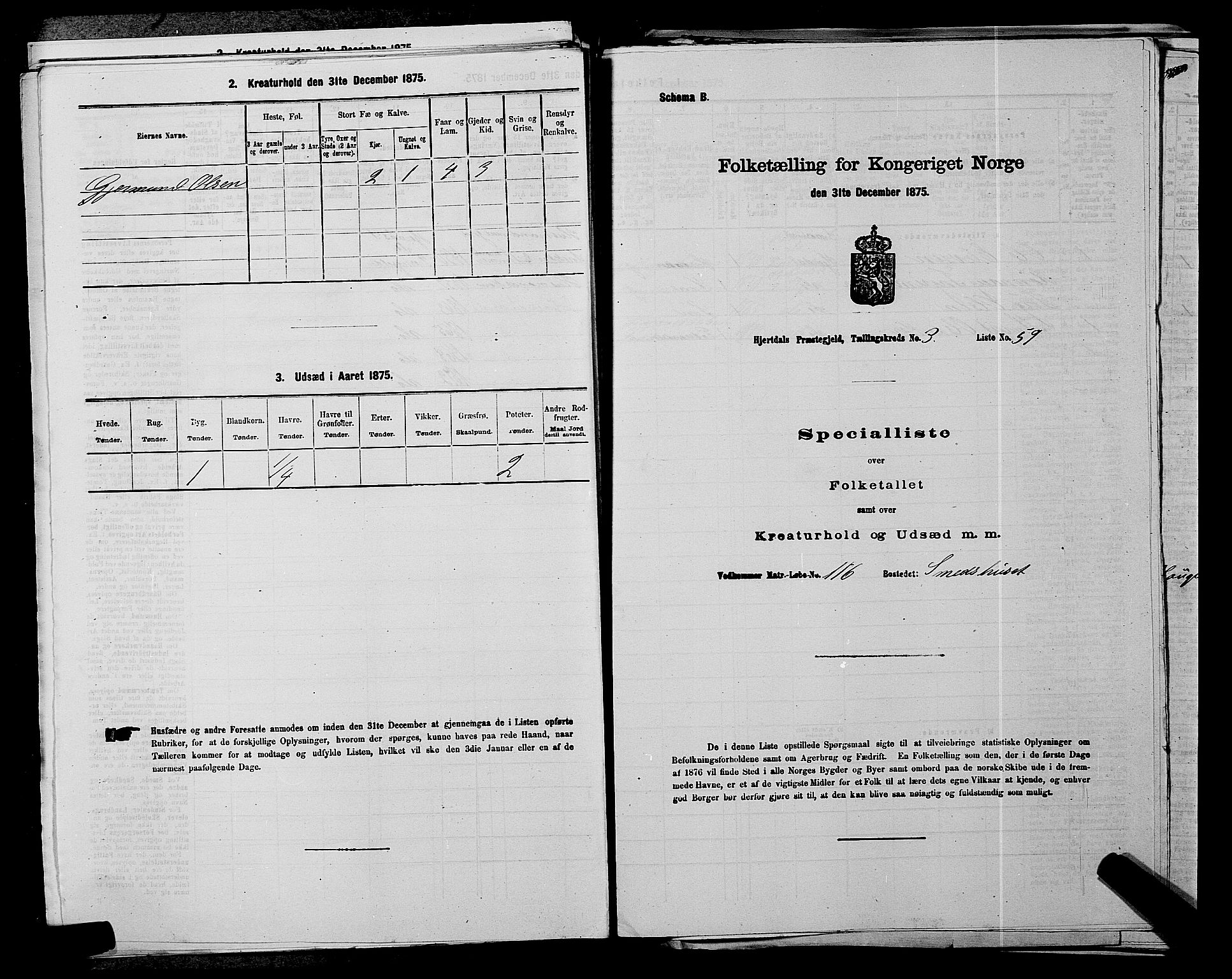 SAKO, Folketelling 1875 for 0827P Hjartdal prestegjeld, 1875, s. 452