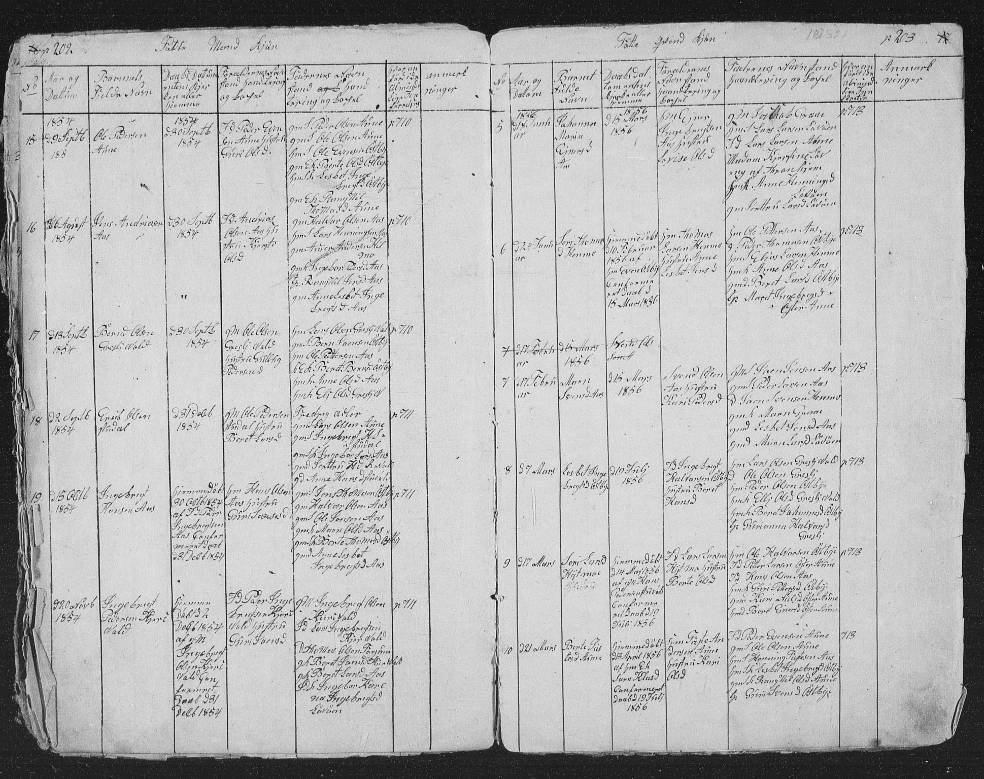 Ministerialprotokoller, klokkerbøker og fødselsregistre - Sør-Trøndelag, SAT/A-1456/698/L1165: Klokkerbok nr. 698C02, 1851-1861, s. 202-203