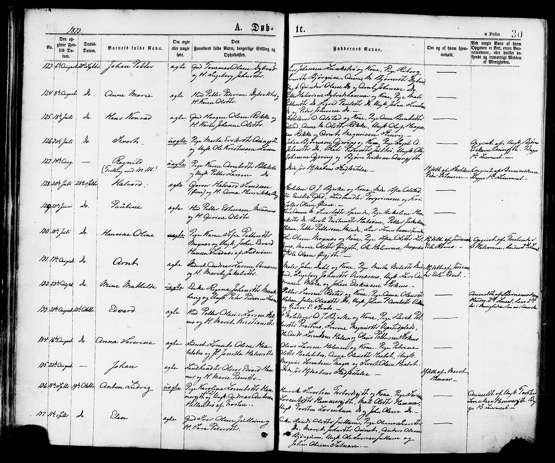 Ministerialprotokoller, klokkerbøker og fødselsregistre - Nord-Trøndelag, AV/SAT-A-1458/709/L0076: Ministerialbok nr. 709A16, 1871-1879, s. 30