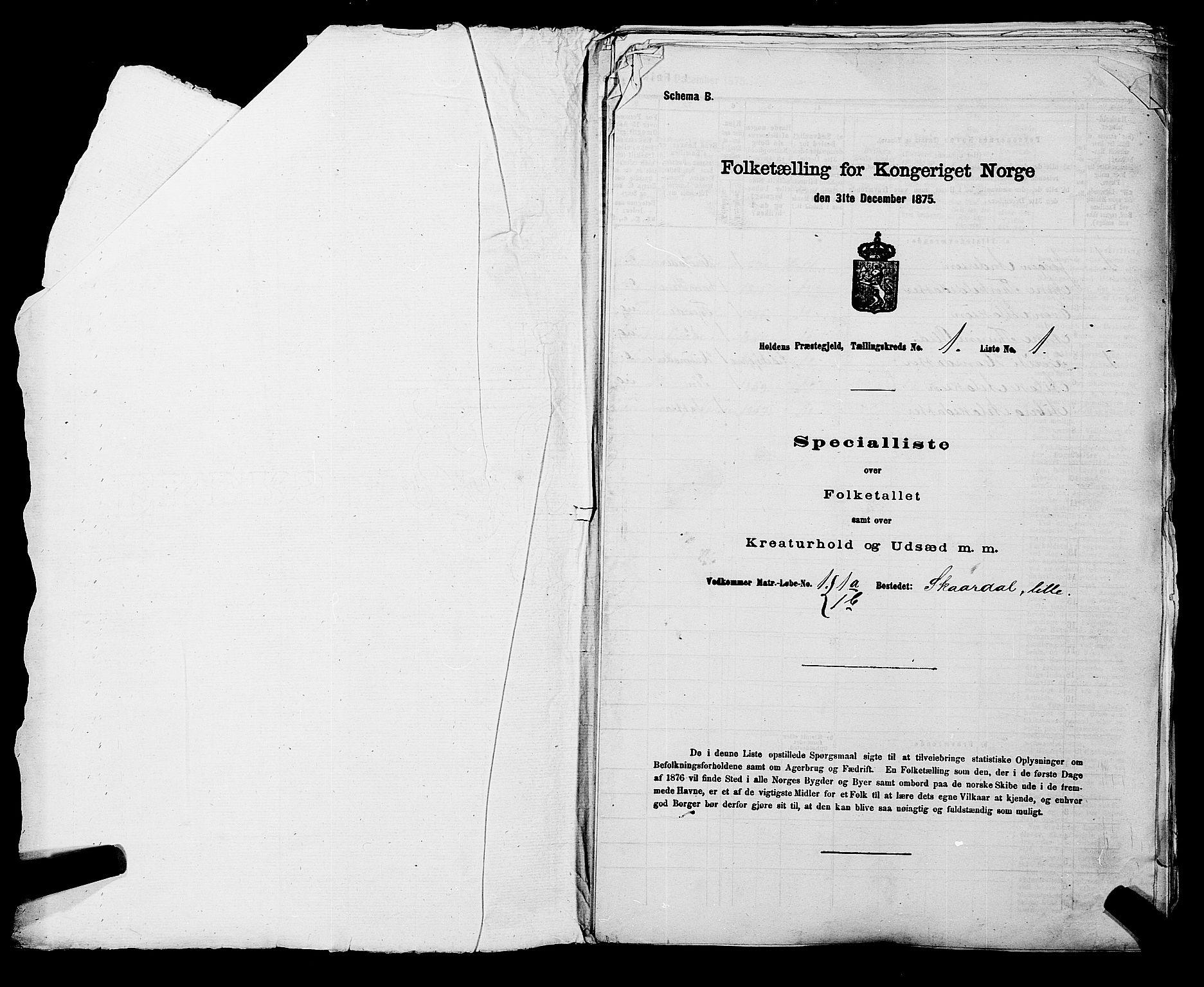 SAKO, Folketelling 1875 for 0819P Holla prestegjeld, 1875, s. 50