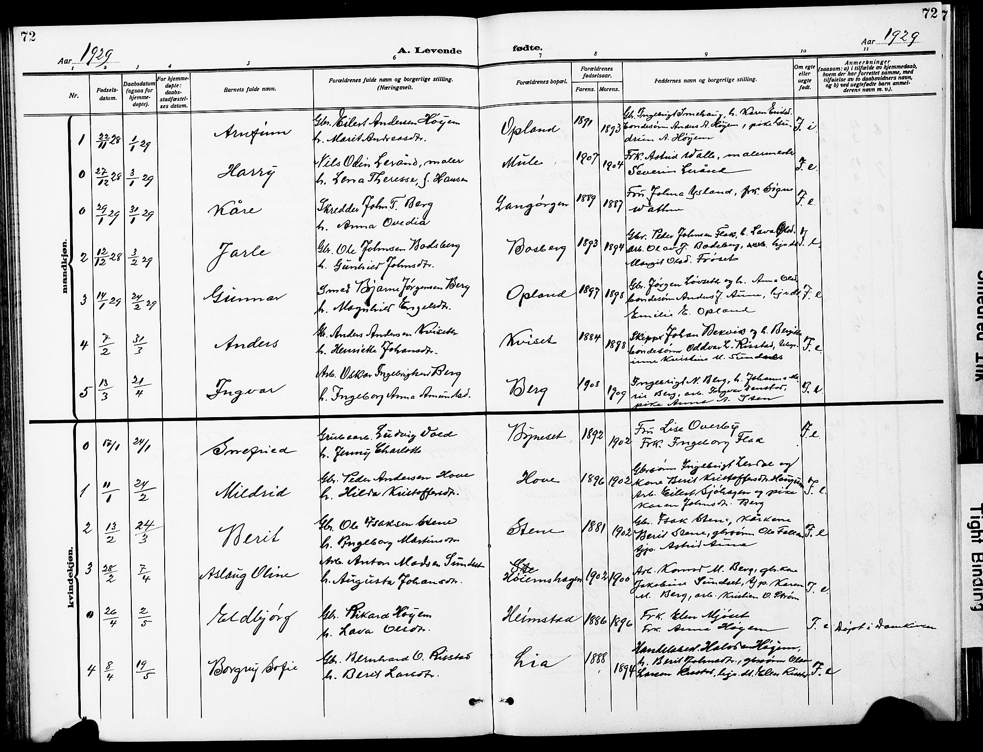 Ministerialprotokoller, klokkerbøker og fødselsregistre - Sør-Trøndelag, AV/SAT-A-1456/612/L0388: Klokkerbok nr. 612C04, 1909-1929, s. 72