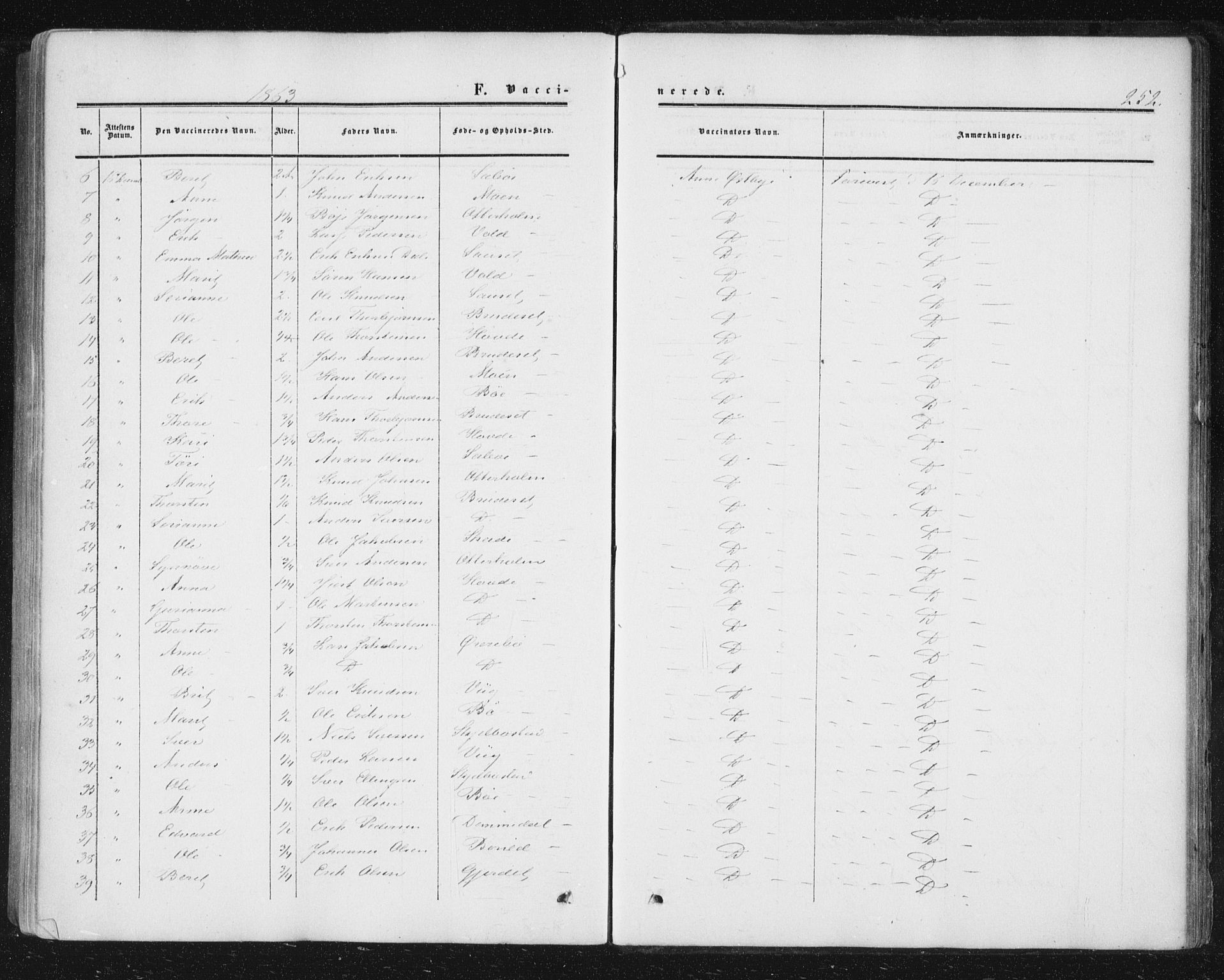 Ministerialprotokoller, klokkerbøker og fødselsregistre - Møre og Romsdal, AV/SAT-A-1454/543/L0562: Ministerialbok nr. 543A02, 1854-1884, s. 252