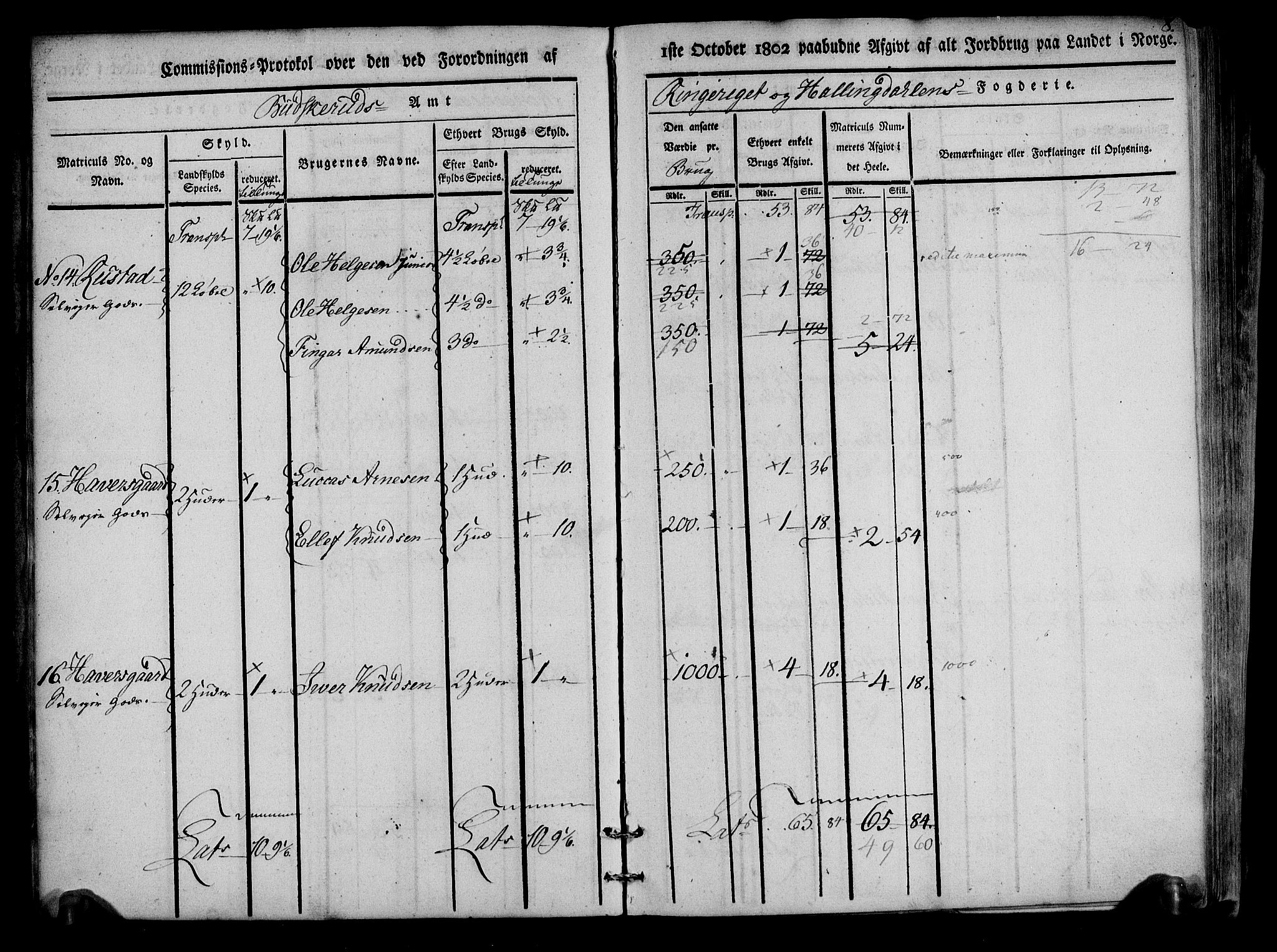 Rentekammeret inntil 1814, Realistisk ordnet avdeling, AV/RA-EA-4070/N/Ne/Nea/L0047: Ringerike og Hallingdal fogderi. Kommisjonsprotokoll for Nes prestegjeld, 1803, s. 9