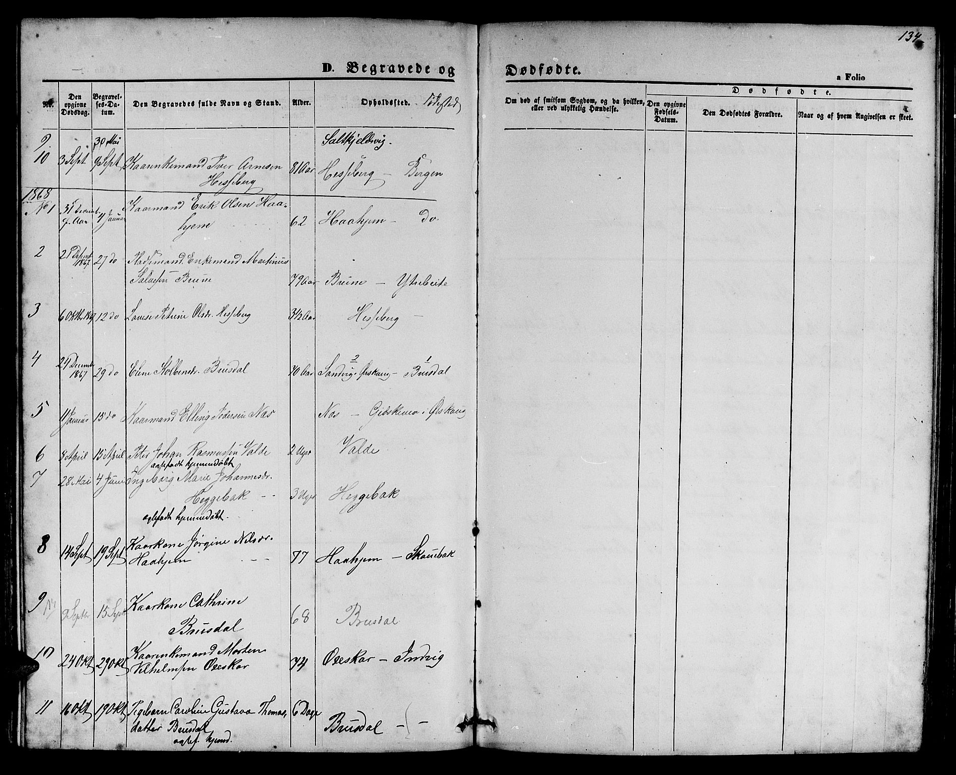 Ministerialprotokoller, klokkerbøker og fødselsregistre - Møre og Romsdal, SAT/A-1454/524/L0364: Klokkerbok nr. 524C05, 1865-1879, s. 134